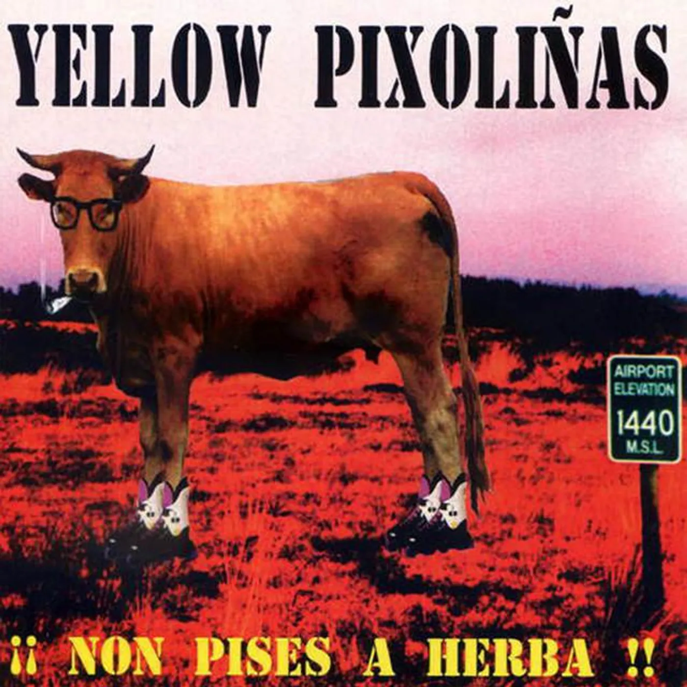 Yellow Pixoliñas
