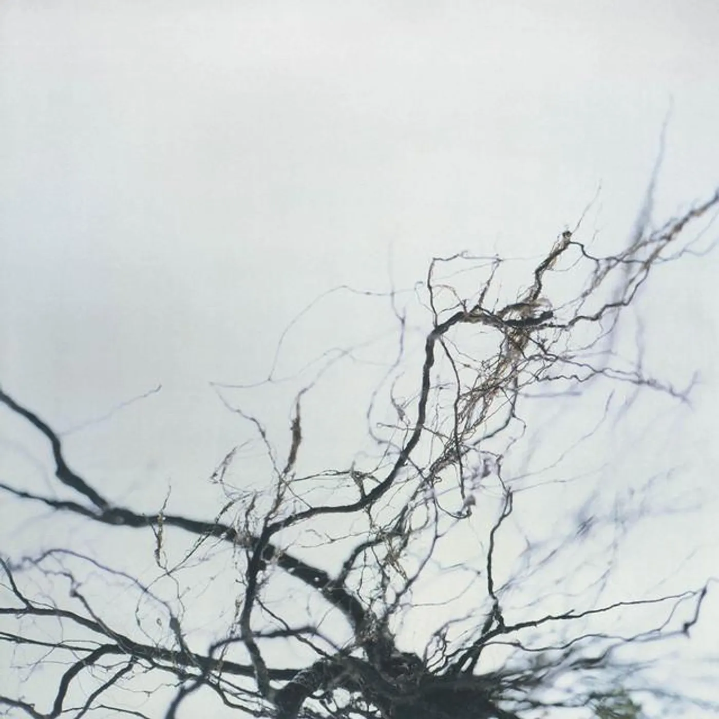 Yutaka Hirose Brand Page