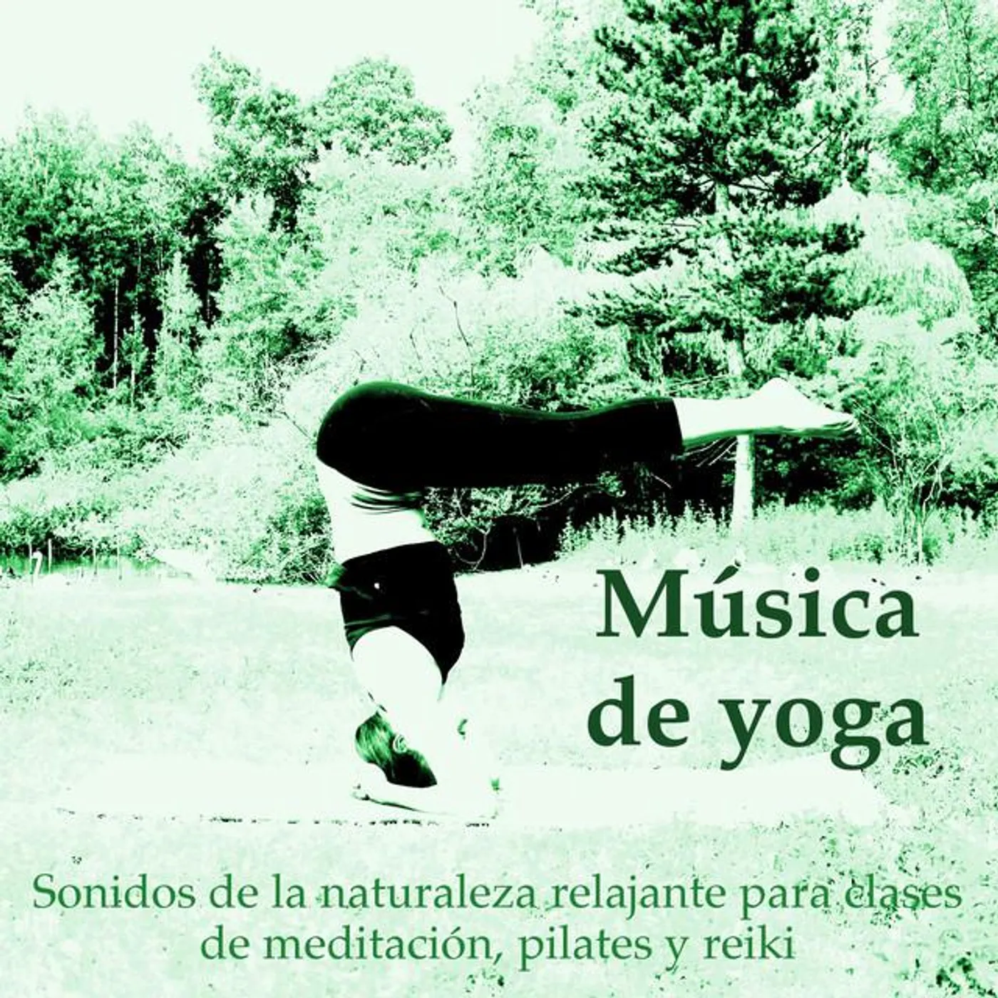Zona de yoga