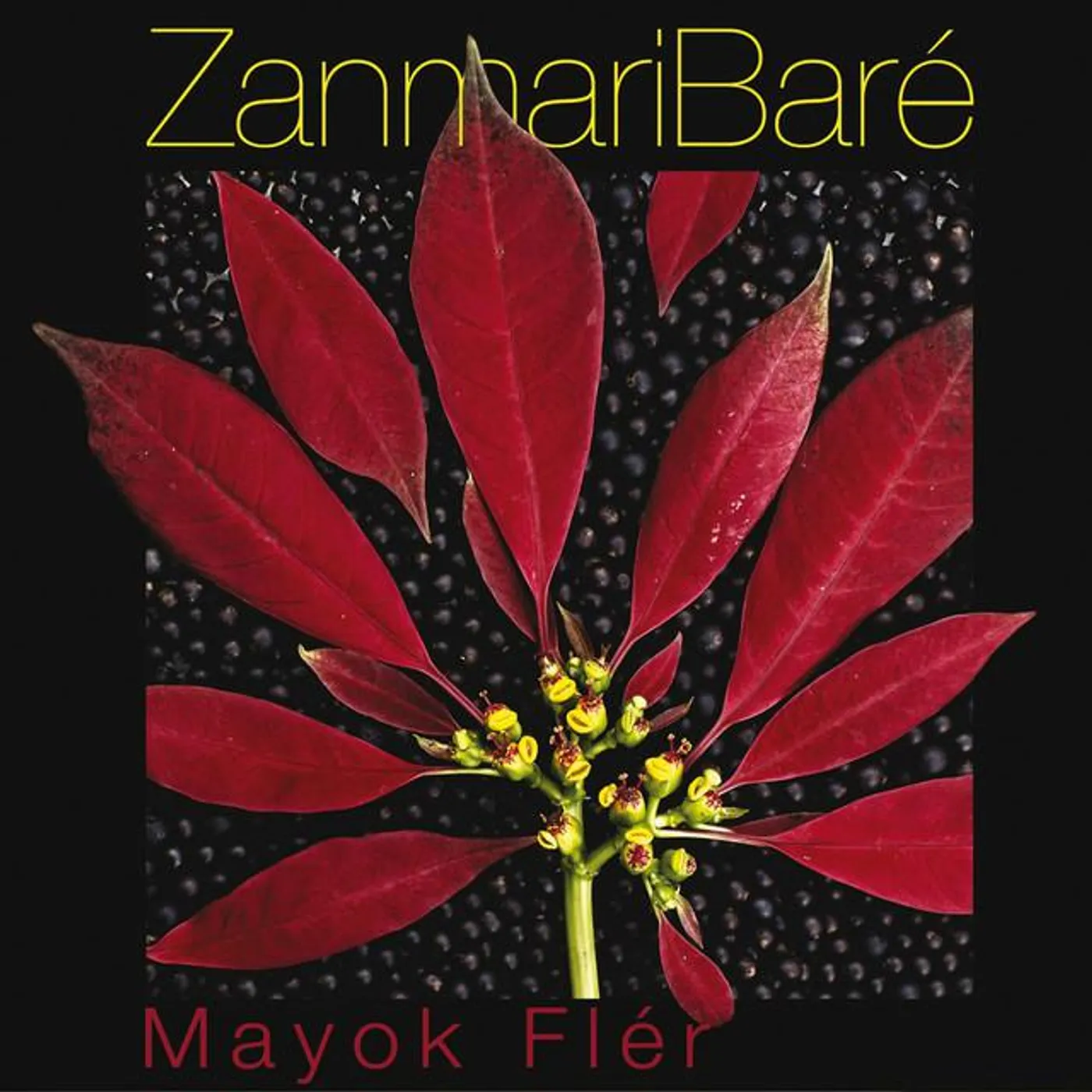 Zanmari Baré Brand Page