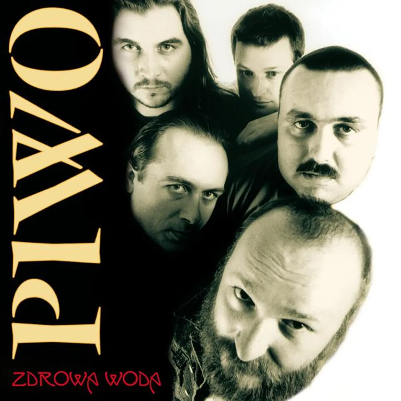 Zdrowa Woda Brand Page