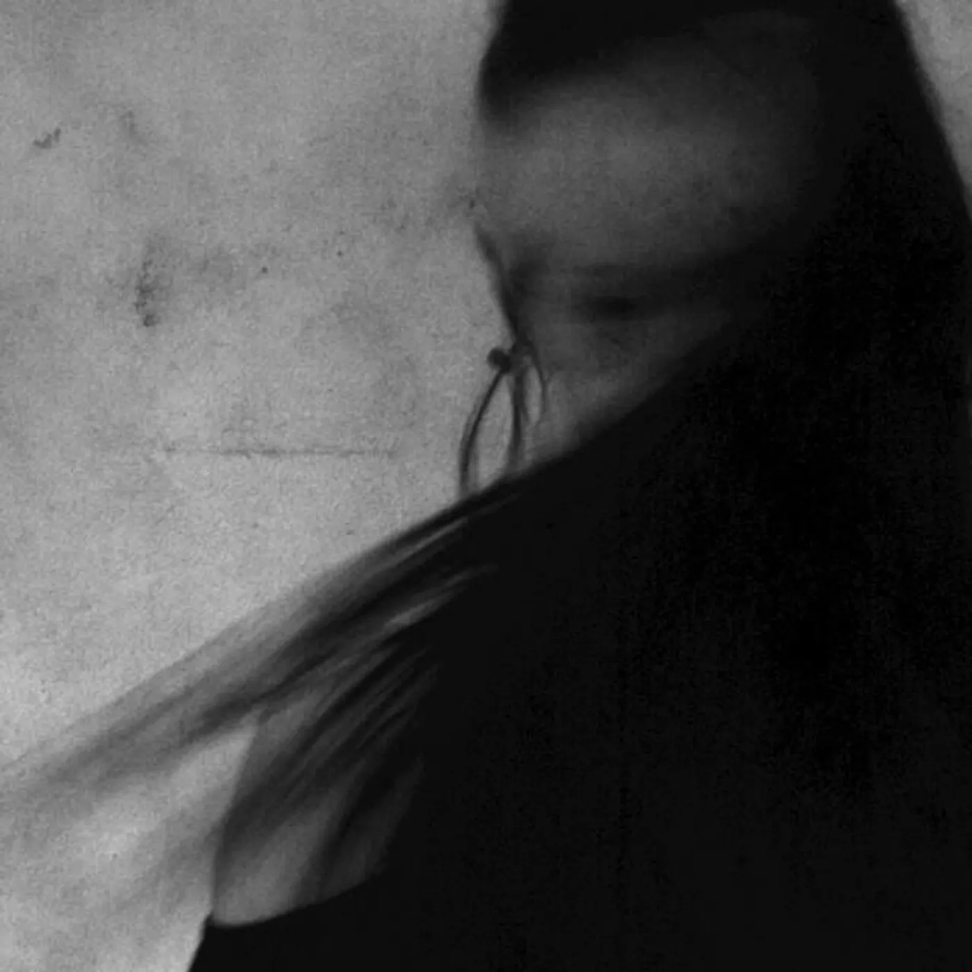 zev died orchestra Brand Page