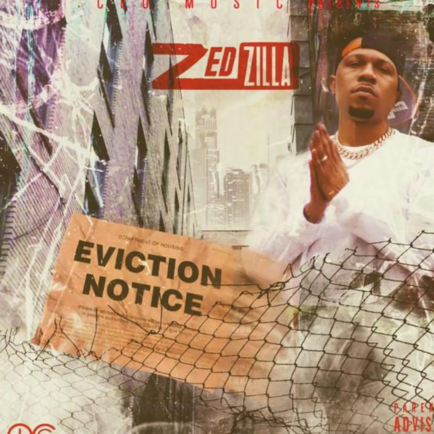 Zed Zilla Brand Page