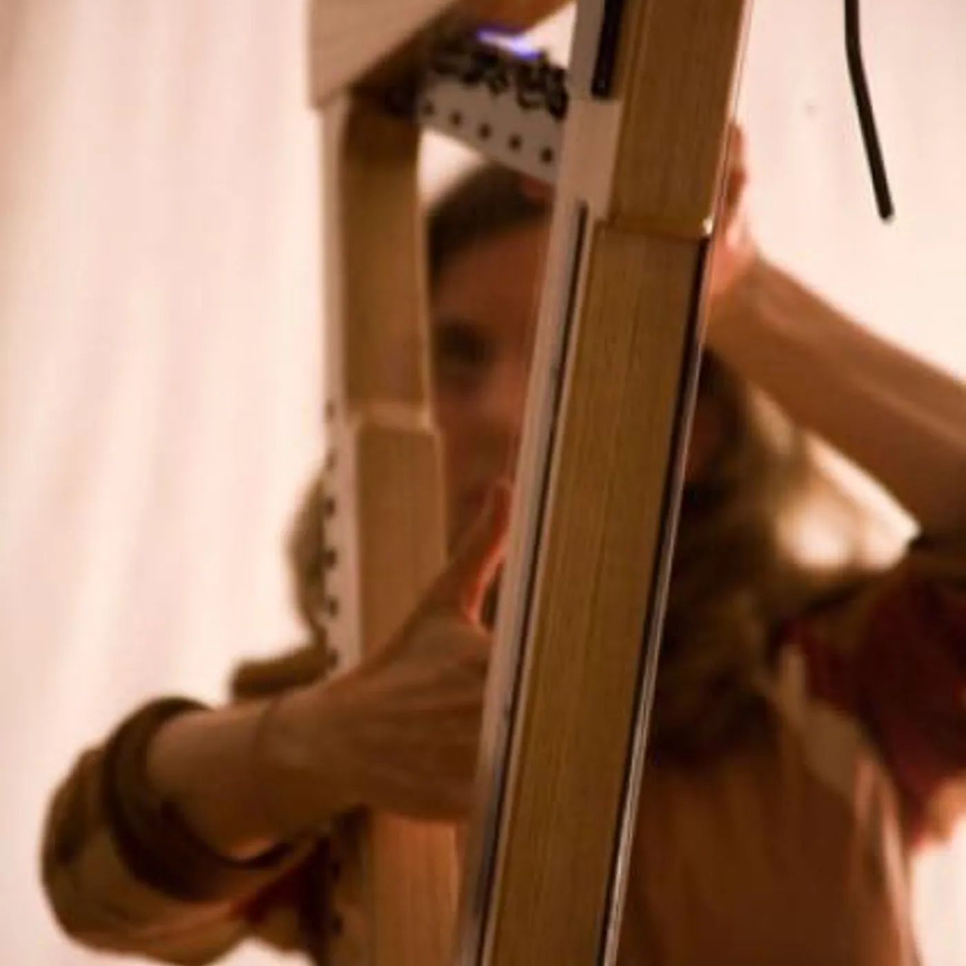 Zeena Parkins Brand Page