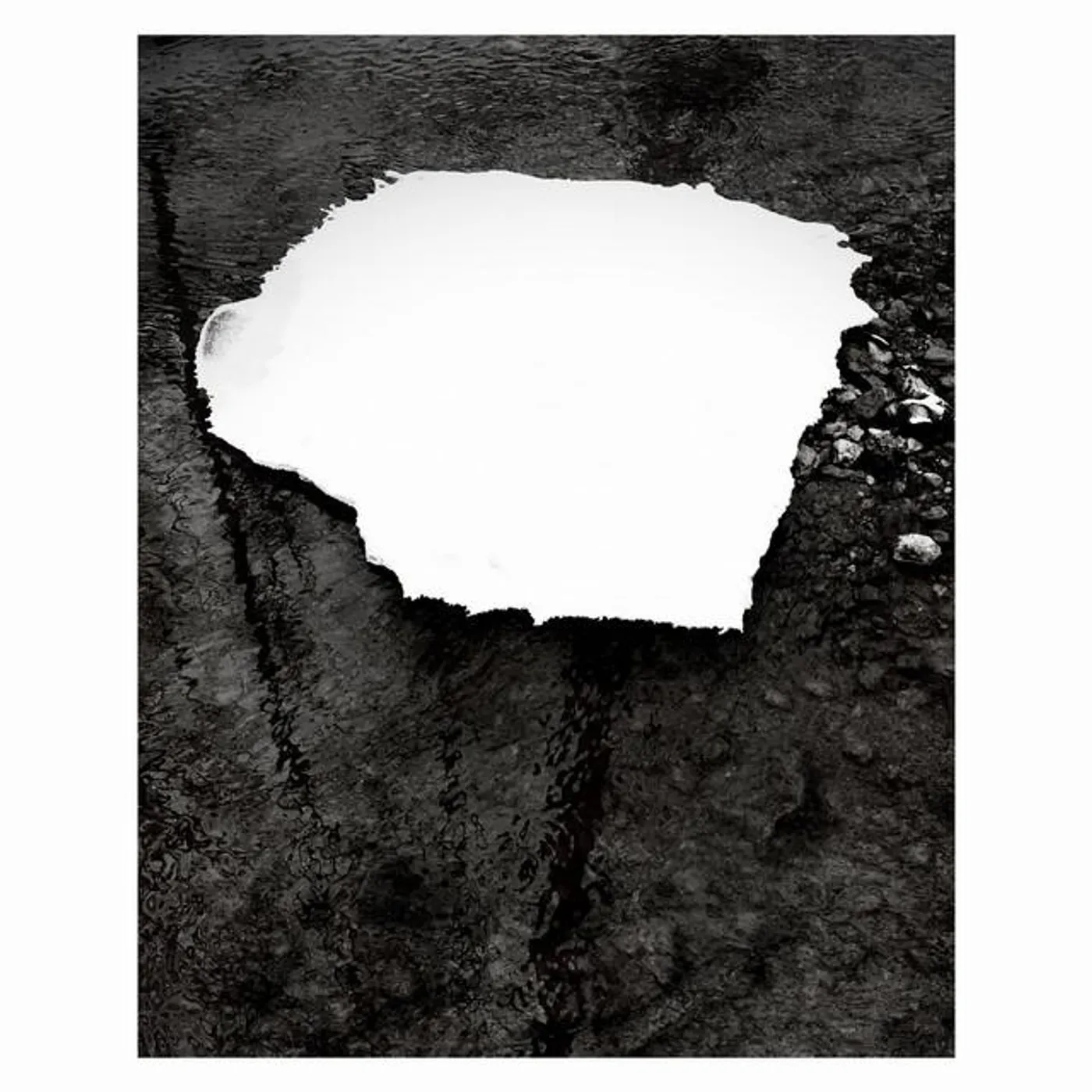 Zelienople Brand Page