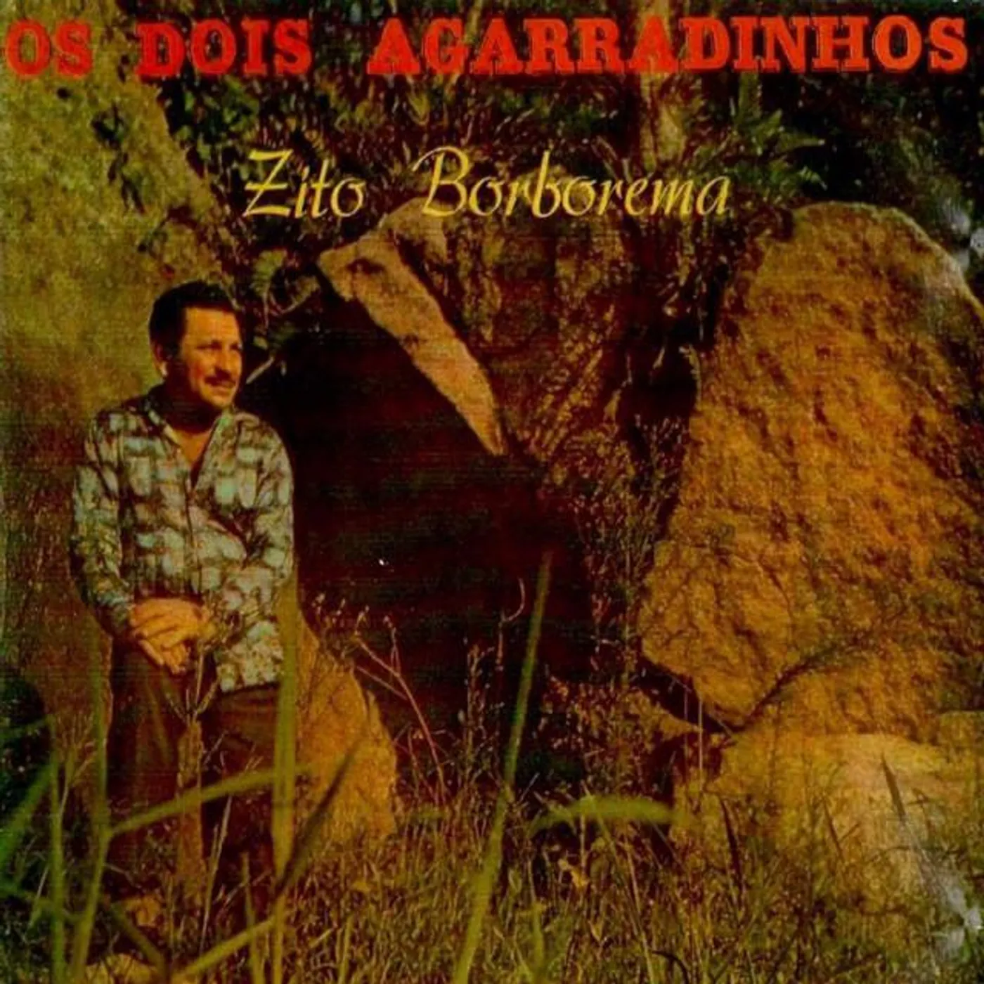 Zito Borborema Brand Page