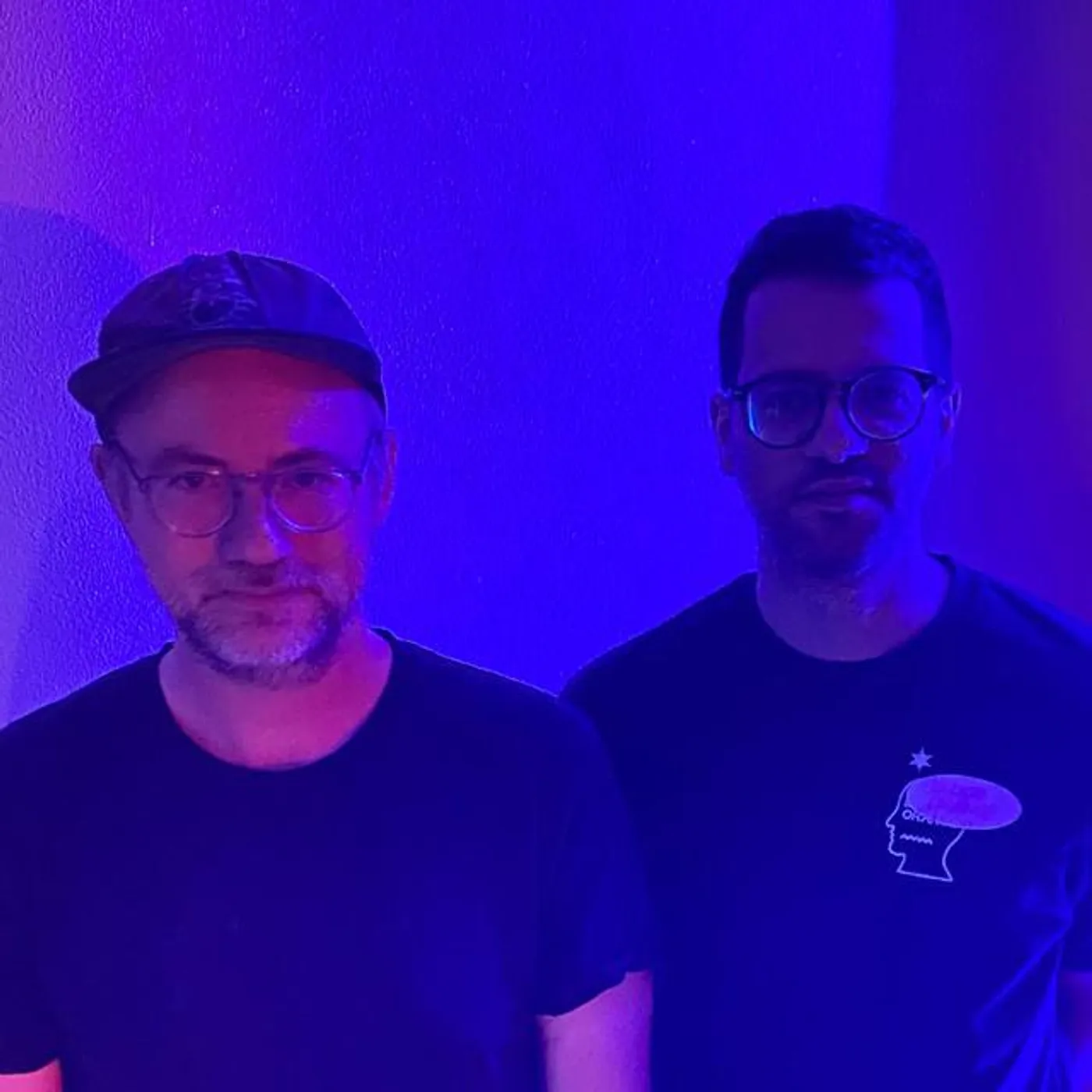 Zillas on Acid Brand Page