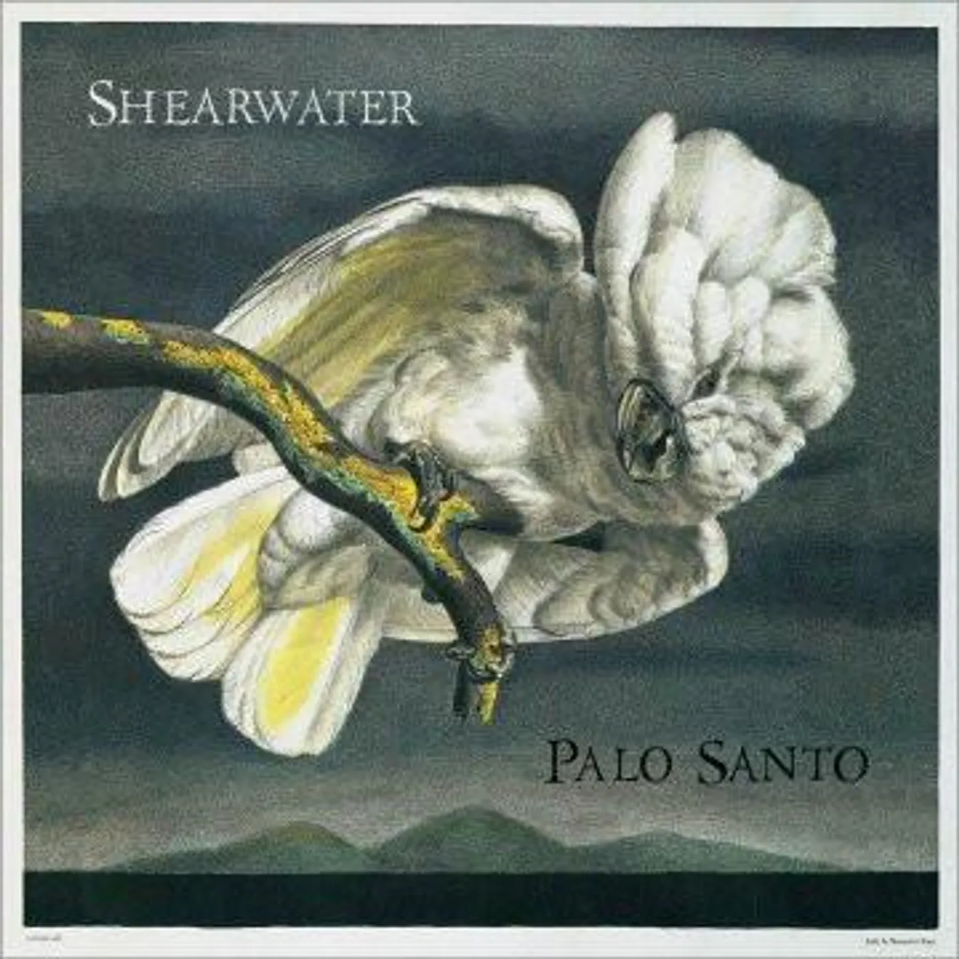 Shearwater Palo Santo CD