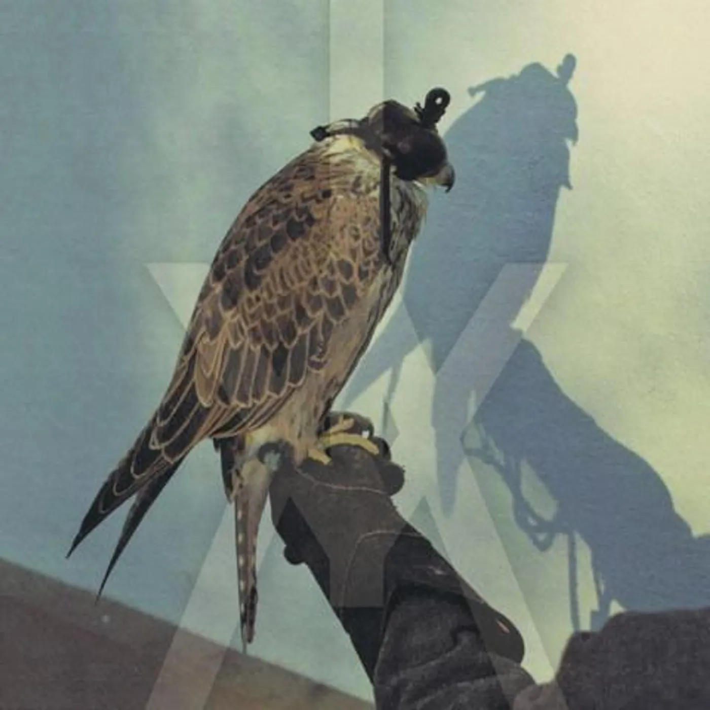 Iceage You're Nothing