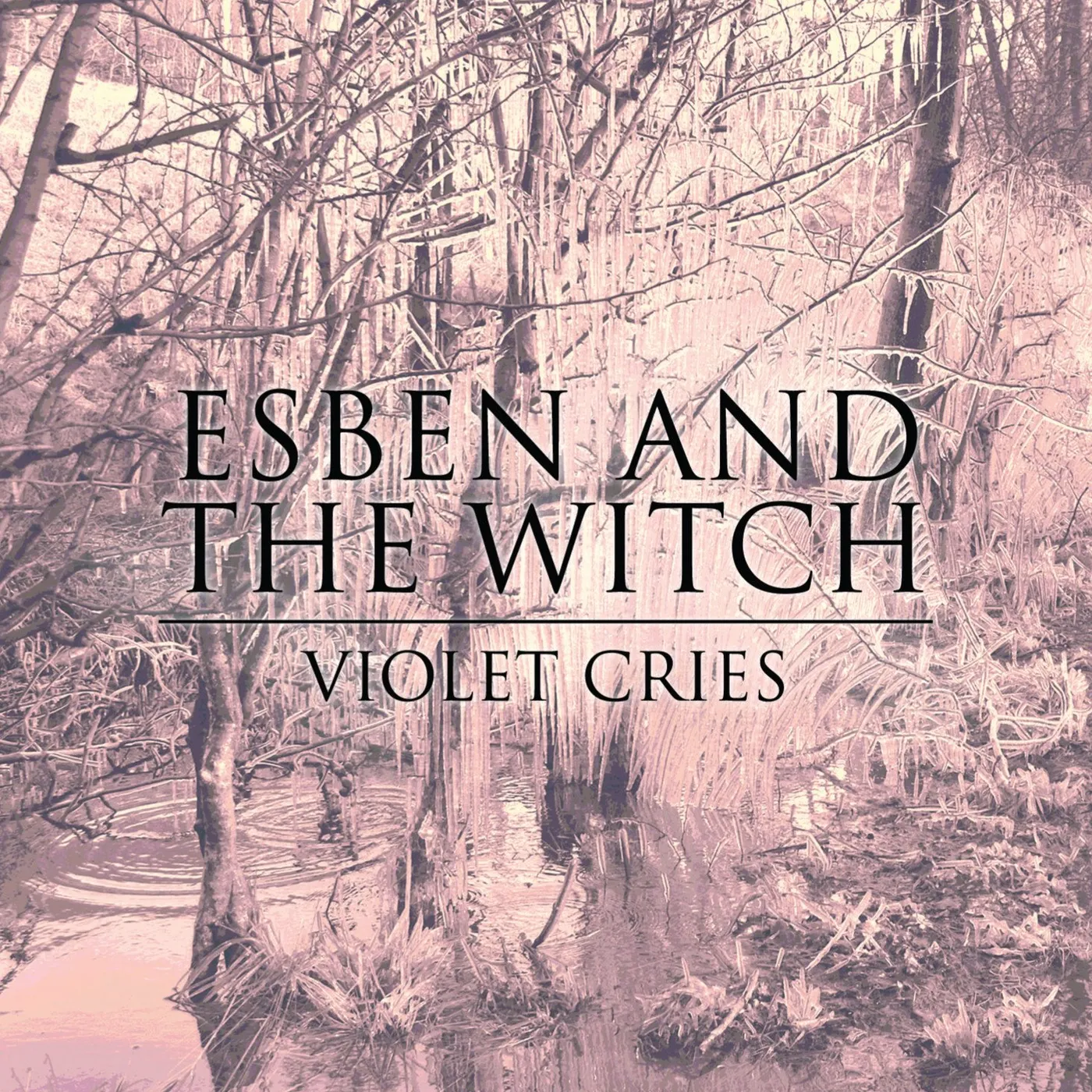Esben and the Witch Violet Cries CD