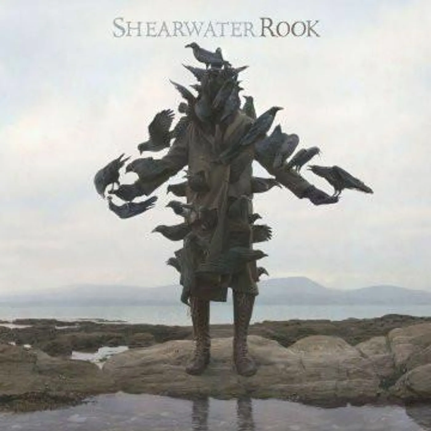 Shearwater Rook CD