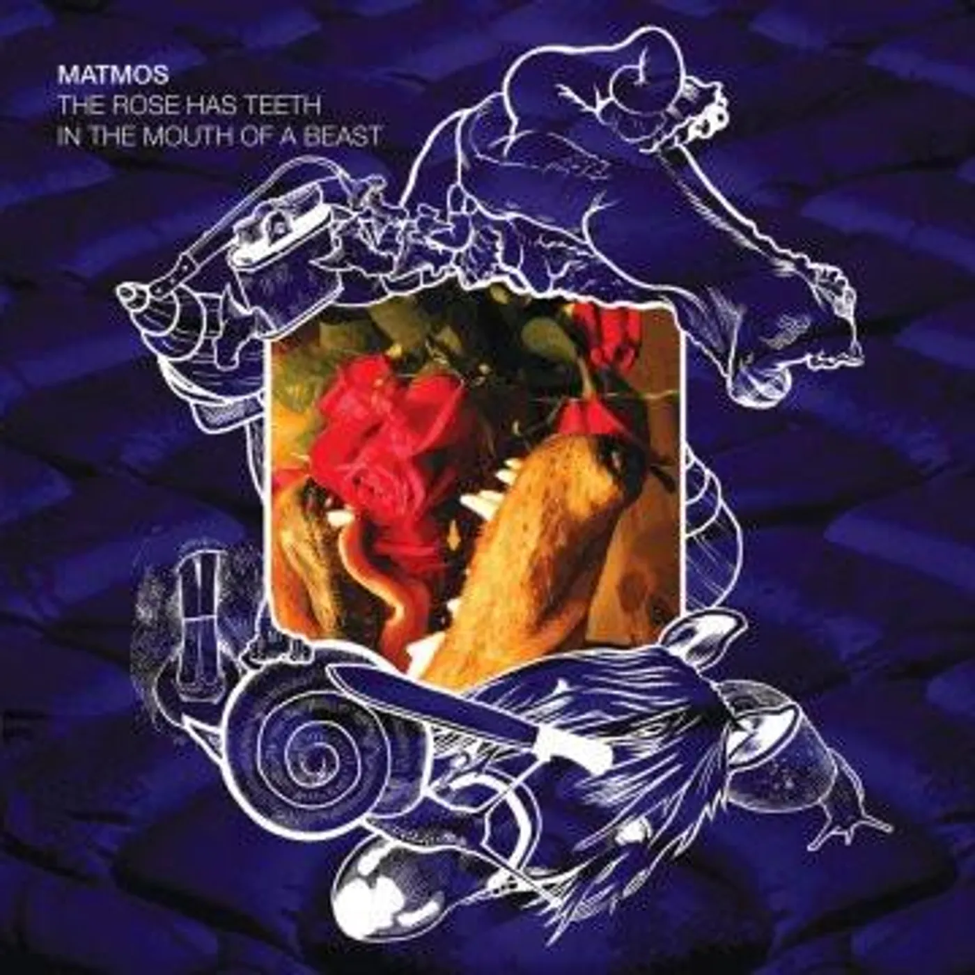 Matmos The Rose Has Teeth In The Mouth Of A Beast CD