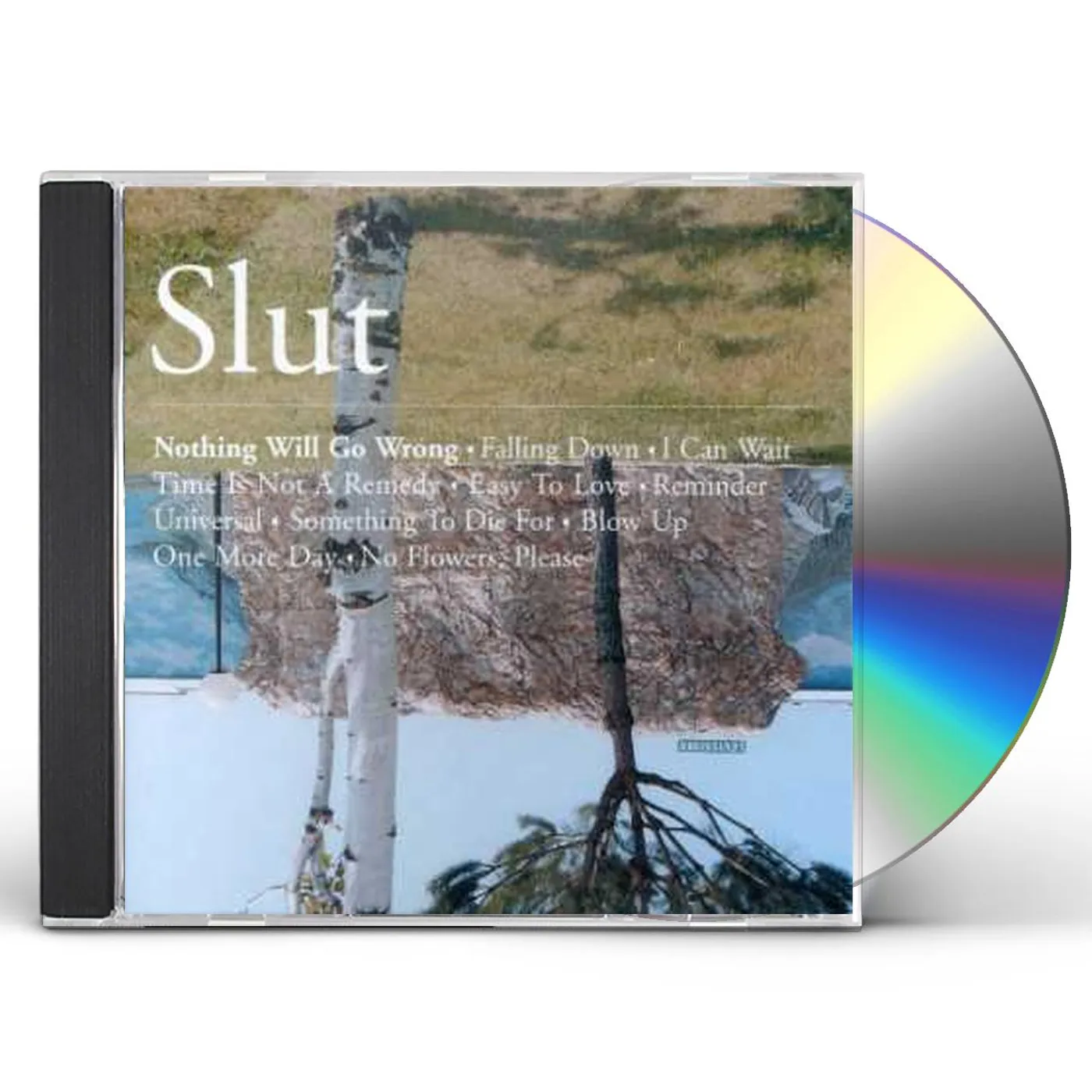 Slut NOTHING WILL GO WRONG CD