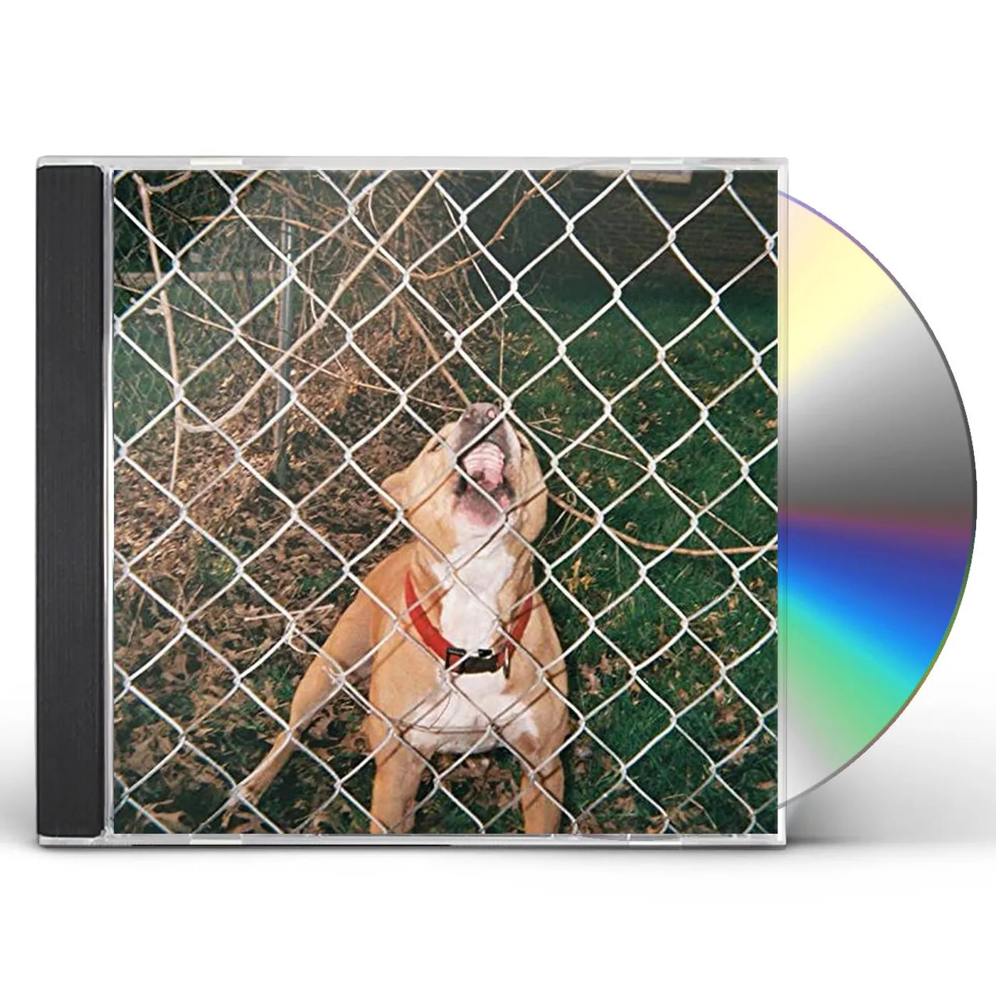 Knocked Loose POP CULTURE CD