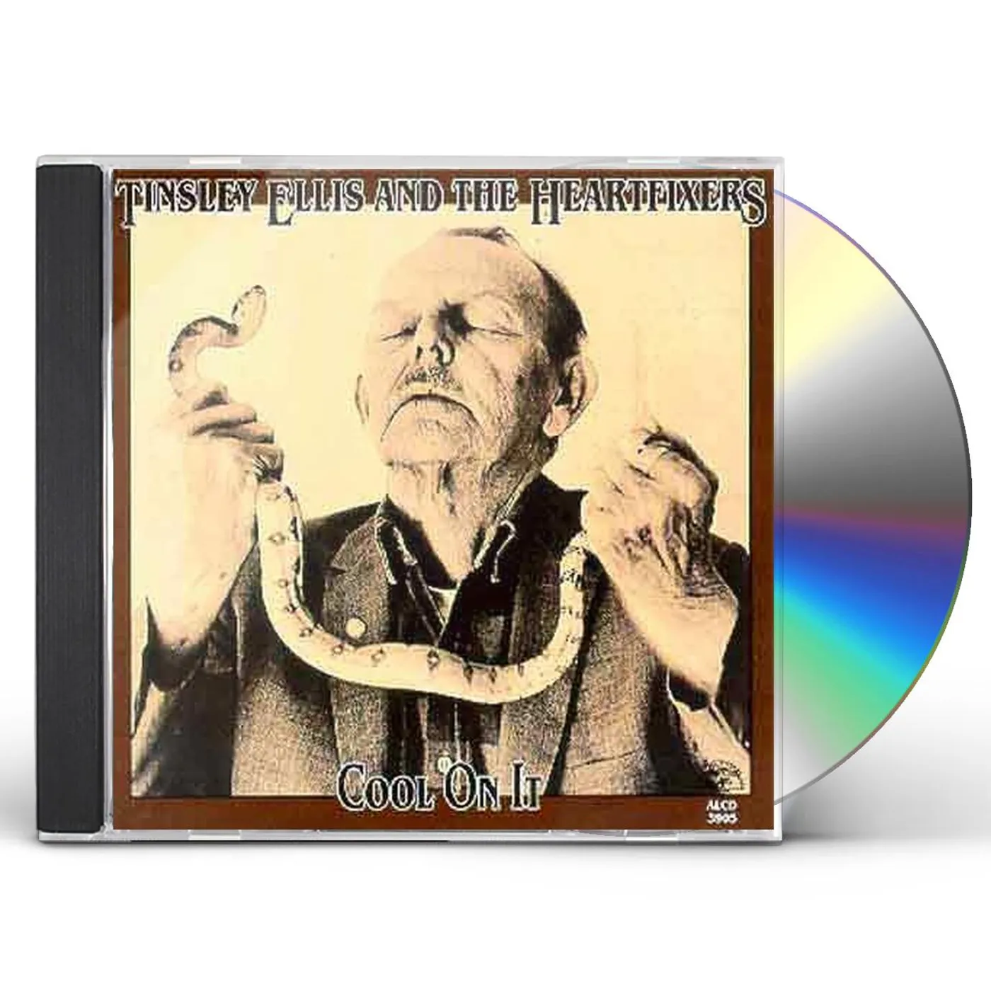 Tinsley Ellis COOL ON IT CD