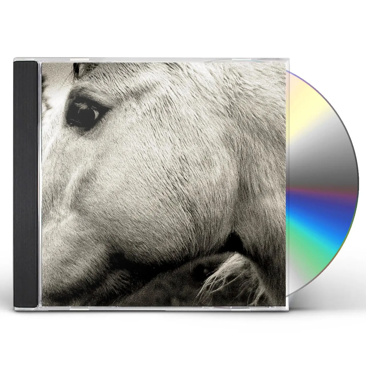 BONNY LIGHT HORSEMAN CD