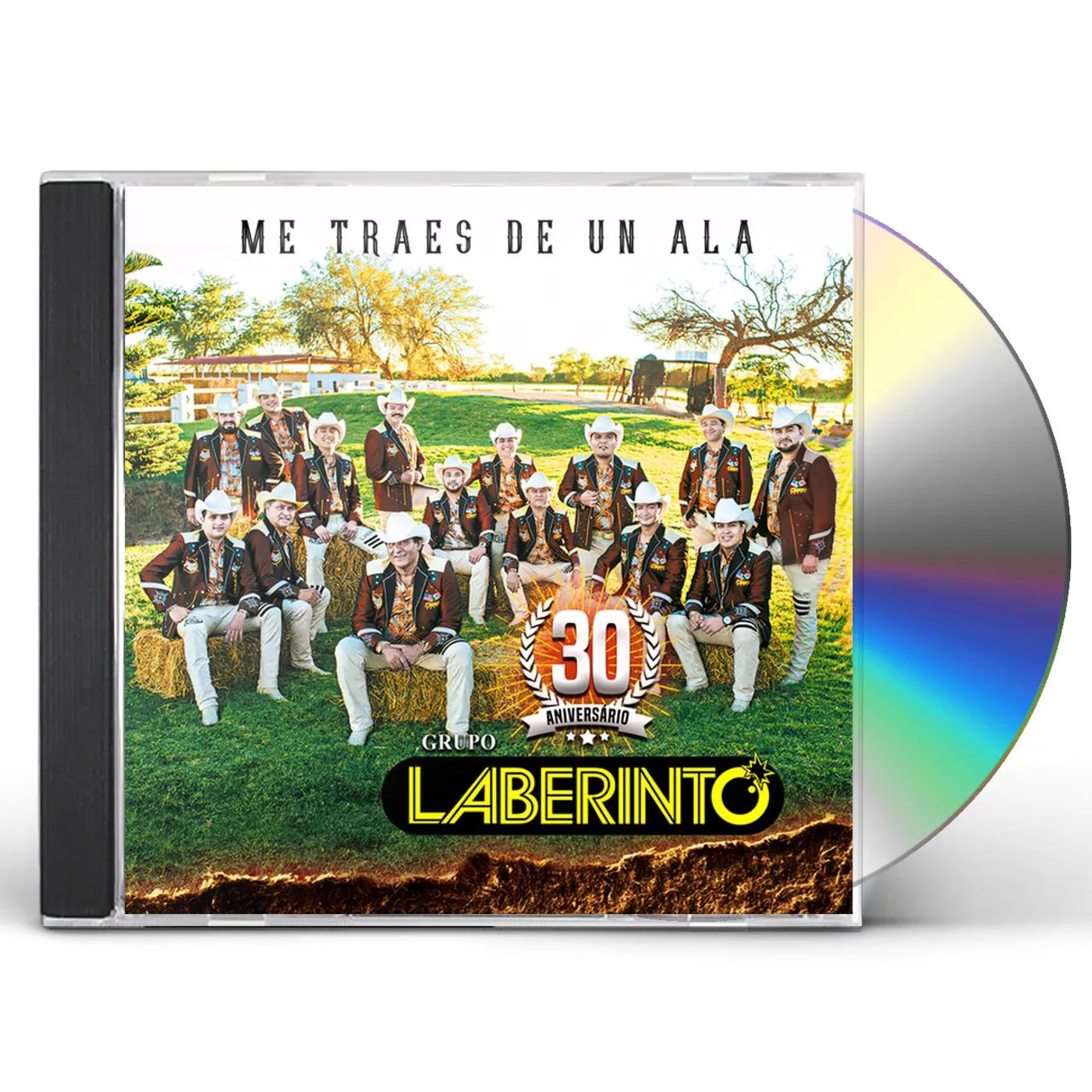 Grupo Laberinto ME TRAES DE UN ALA CD