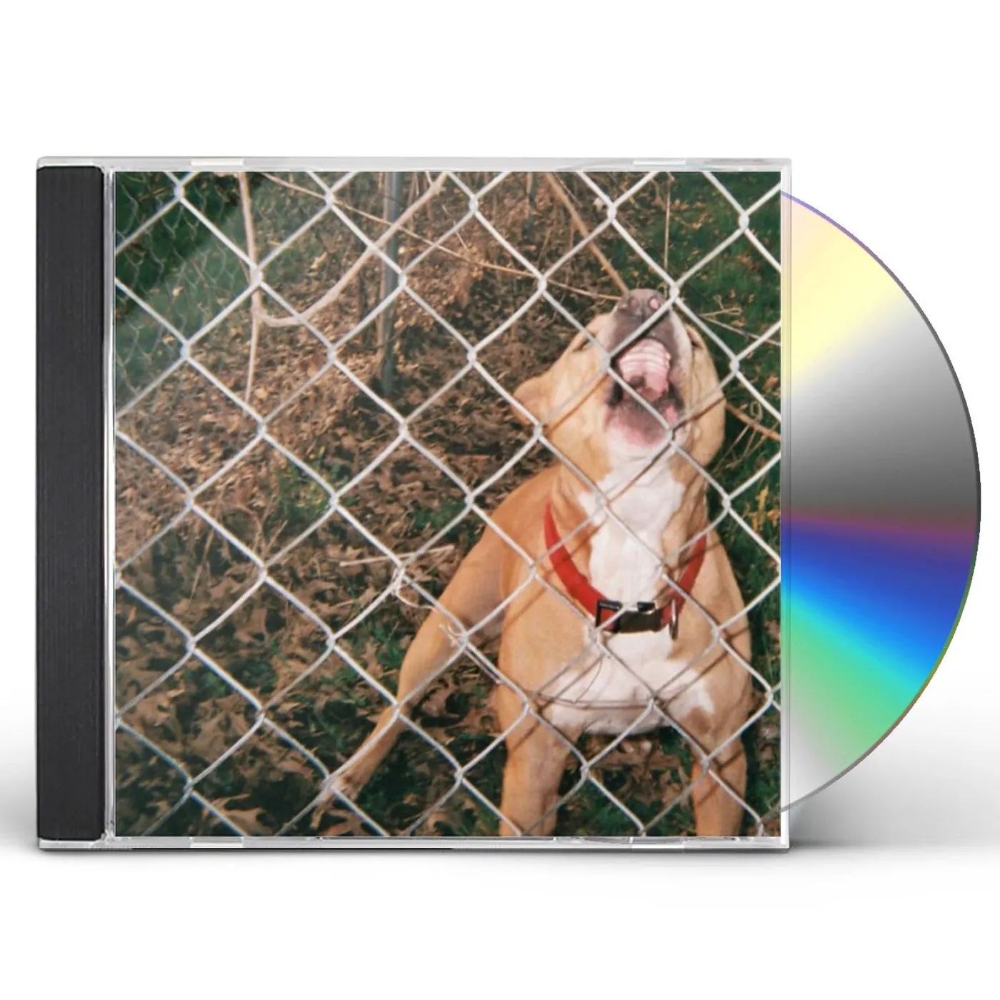 Knocked Loose POP CULTURE CD