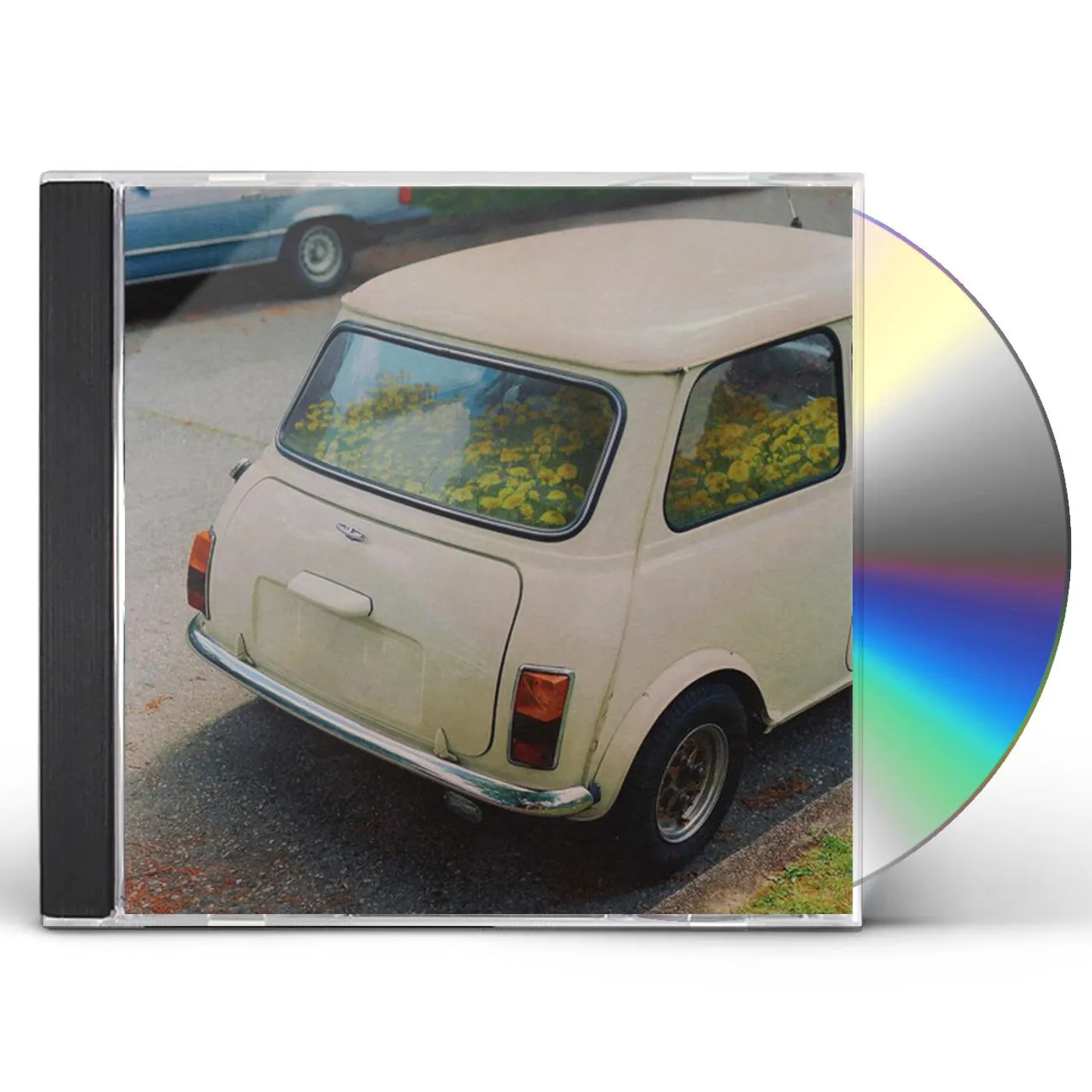 Said The Whale DANDELION CD