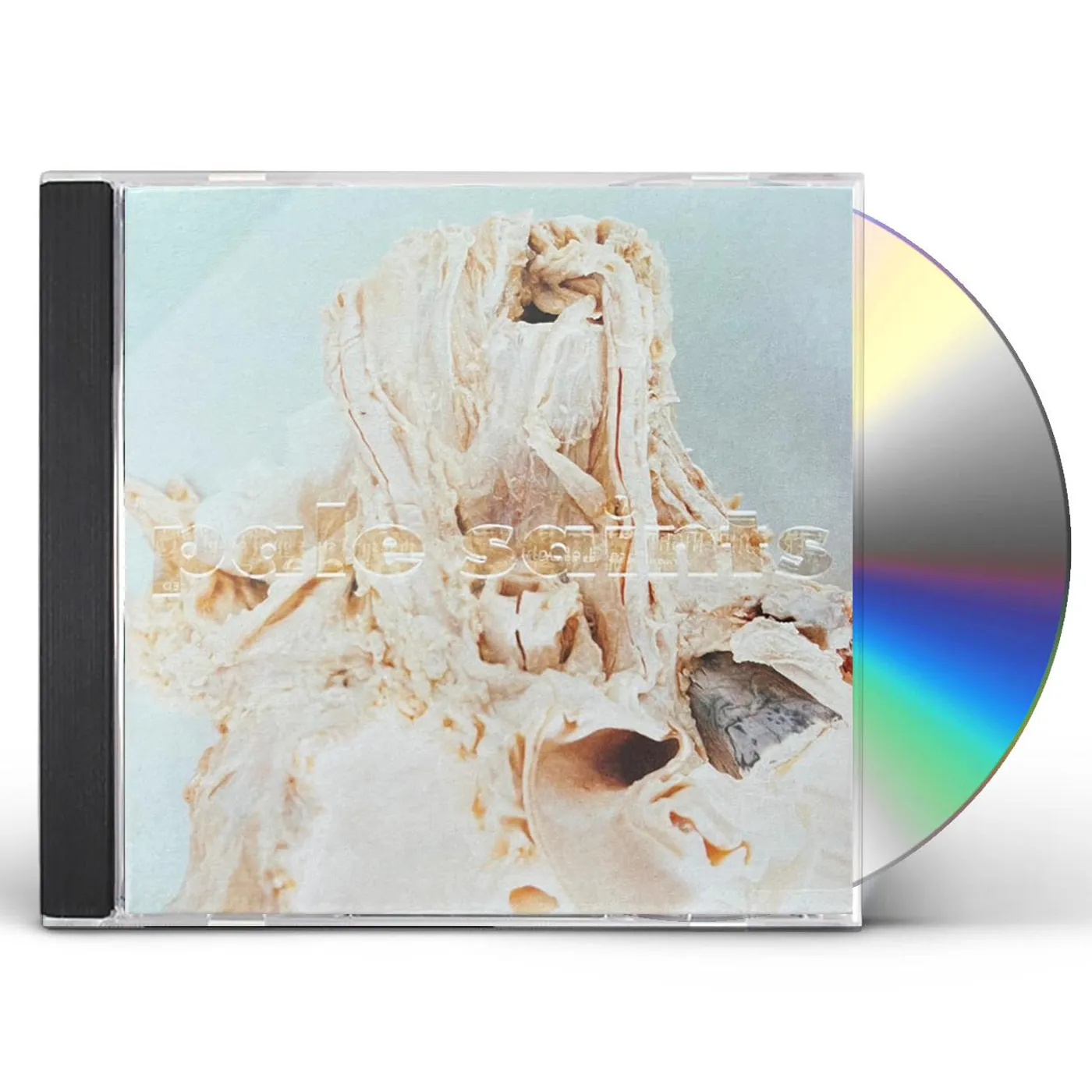 Pale Saints IN RIBBONS CD