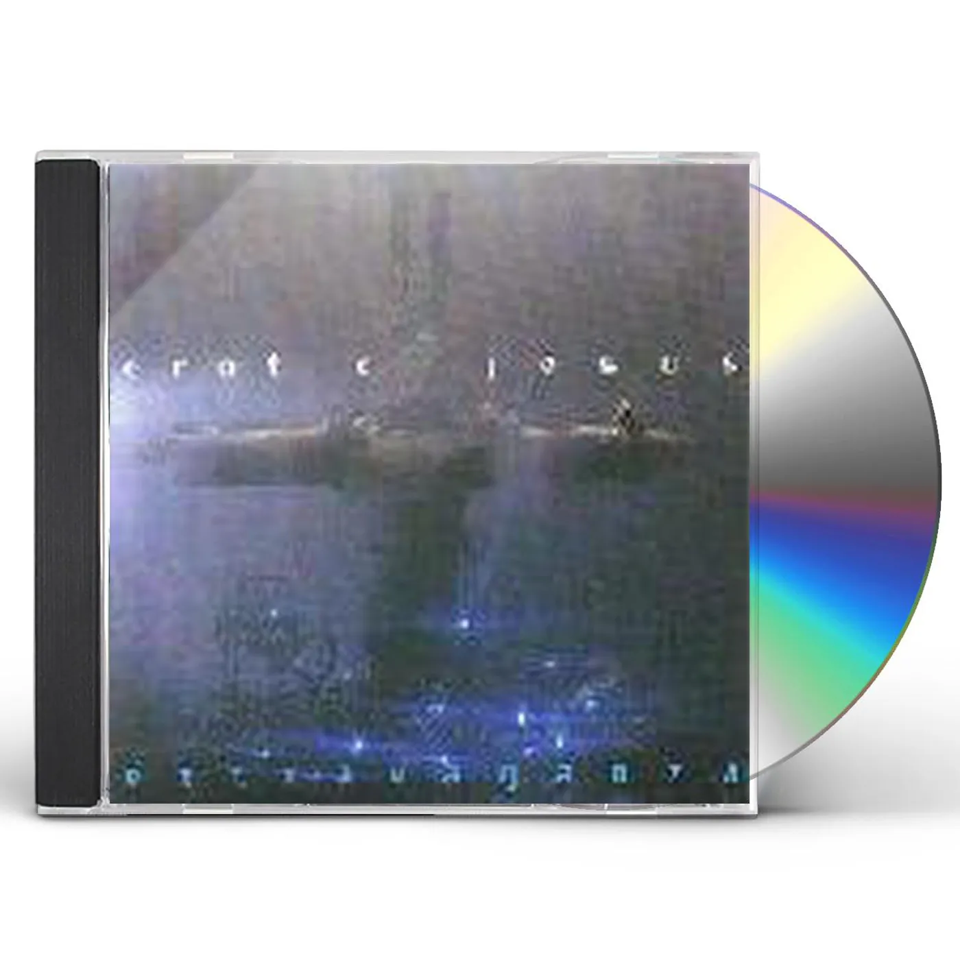 The Handsome Family HONEY MOON CD