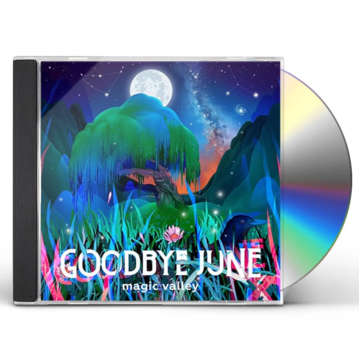 Goodbye June MAGIC VALLEY CD