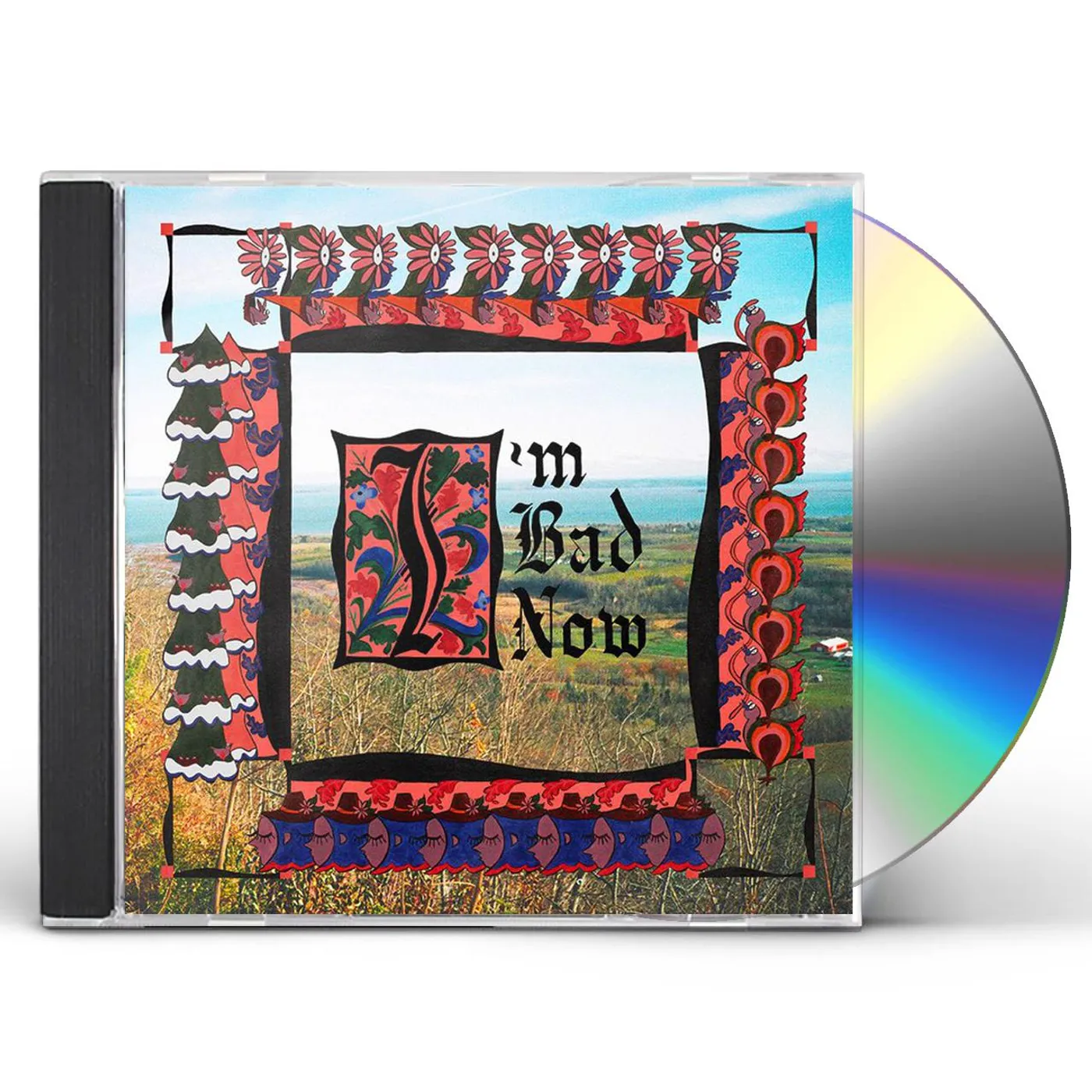 Nap Eyes I'M BAD NOW CD