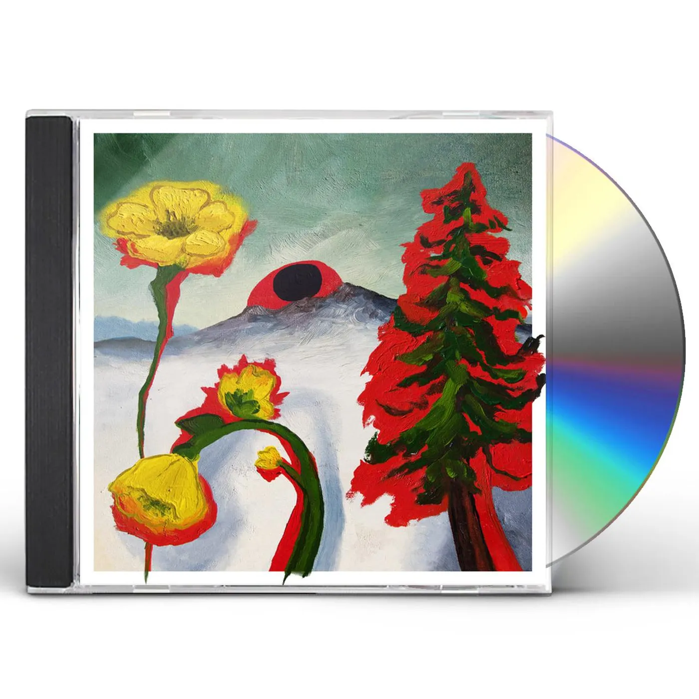 Woods STRANGE TO EXPLAIN CD