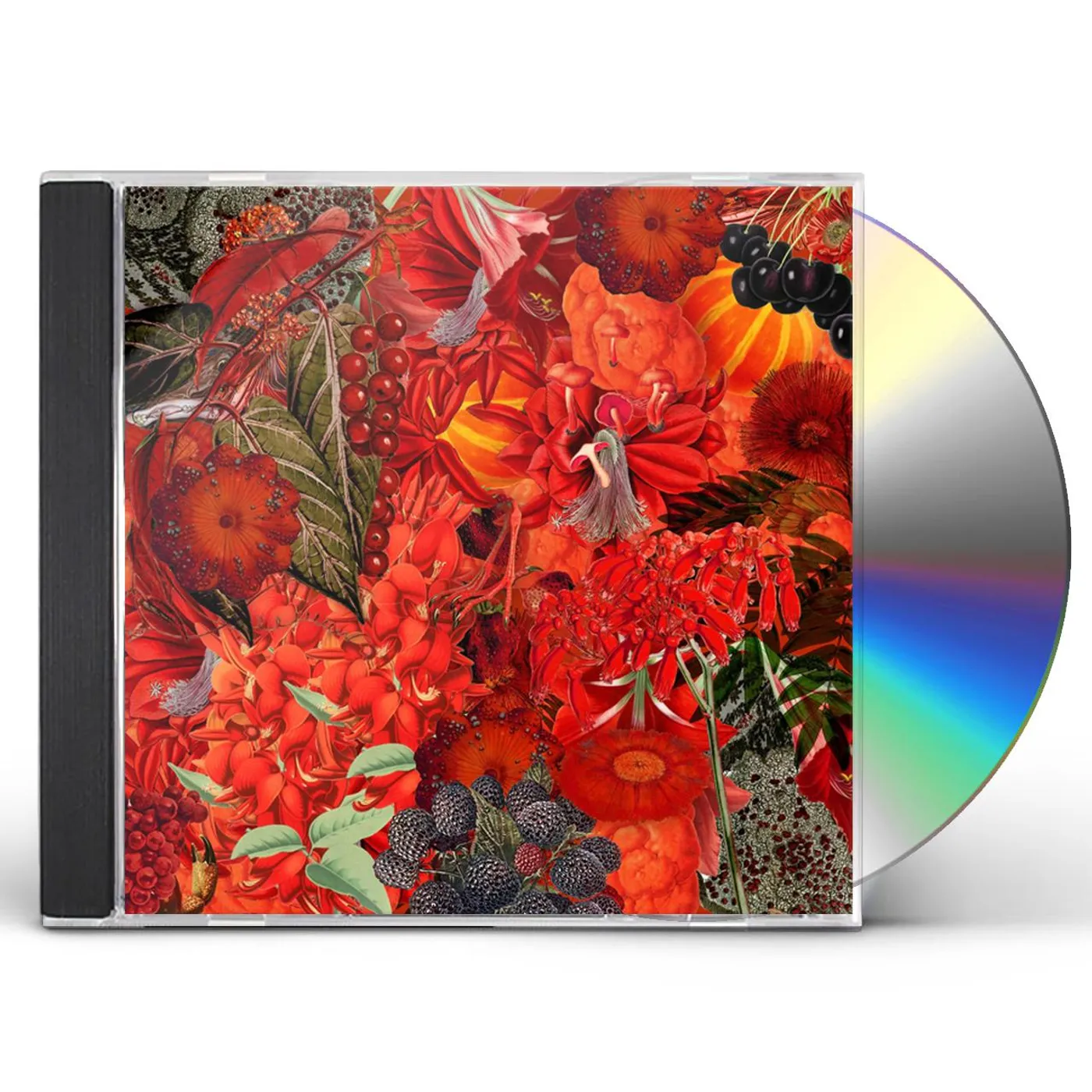 We Will Fail HAND THAT HEALS / HAND THAT HEALS CD