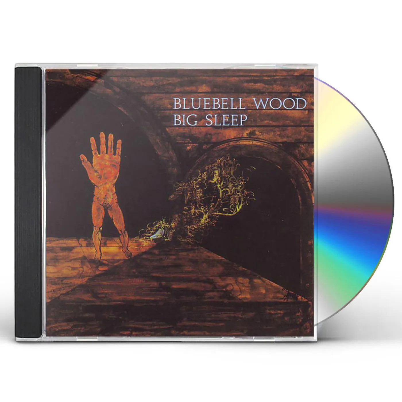 The Big Sleep Bluebell Wood Vinyl Record