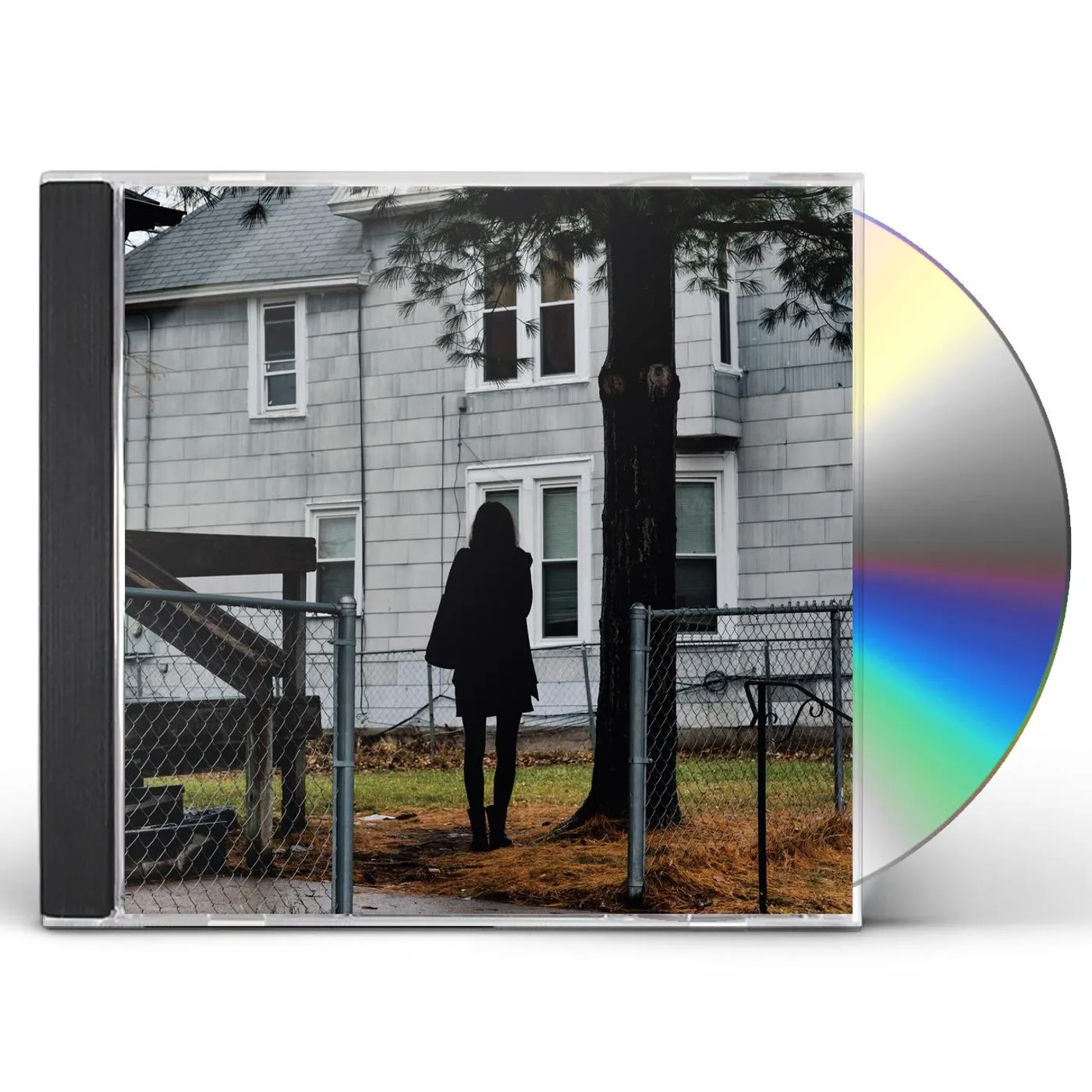 The Tallest Man On Earth DARK BIRD IS HOME CD