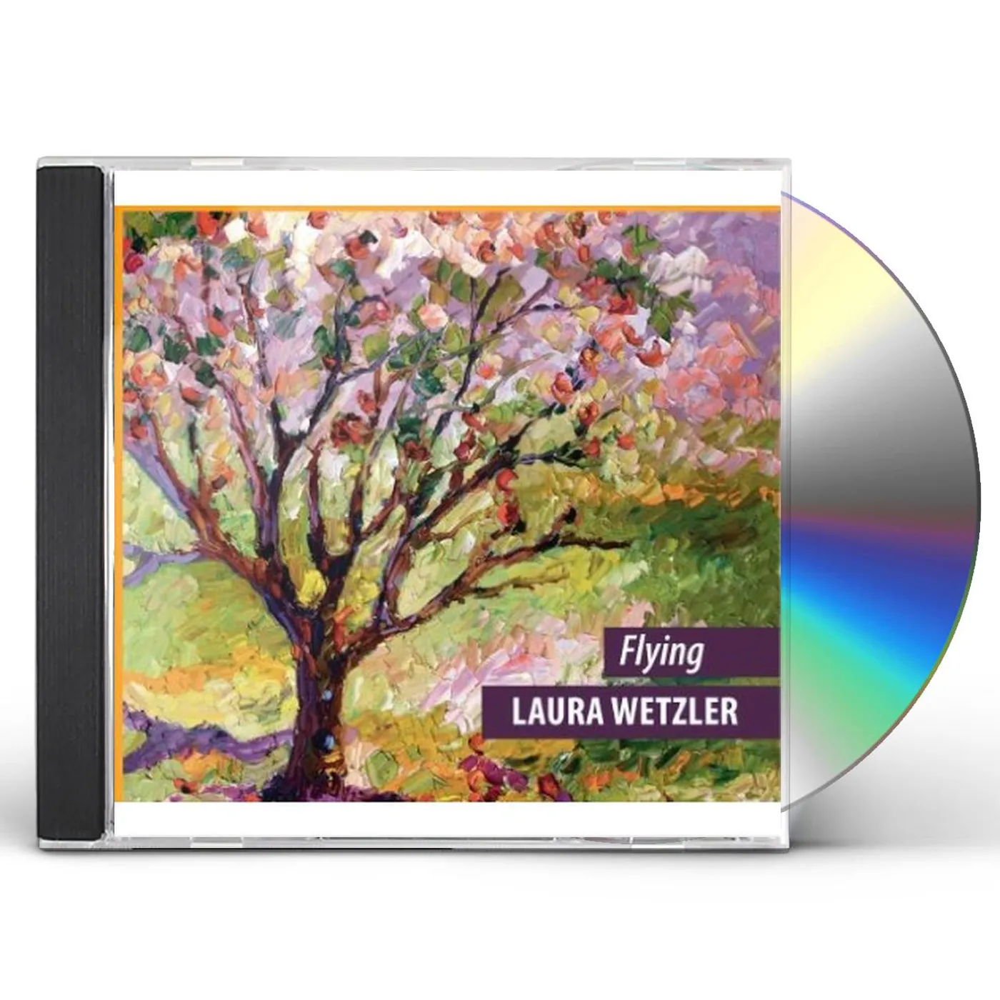 Laura Wetzler FLYING CD