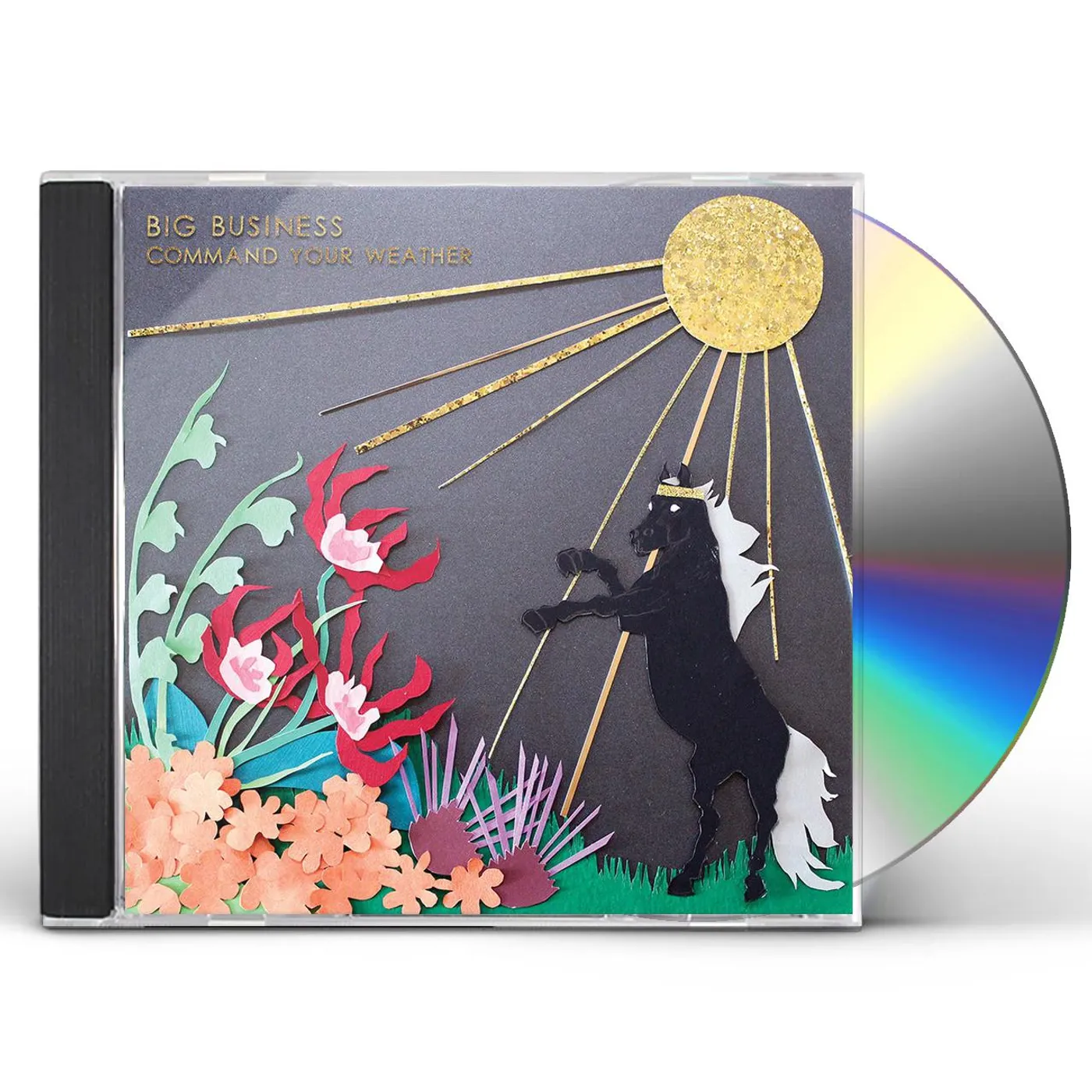 Big Business COMMAND YOUR WEATHER CD