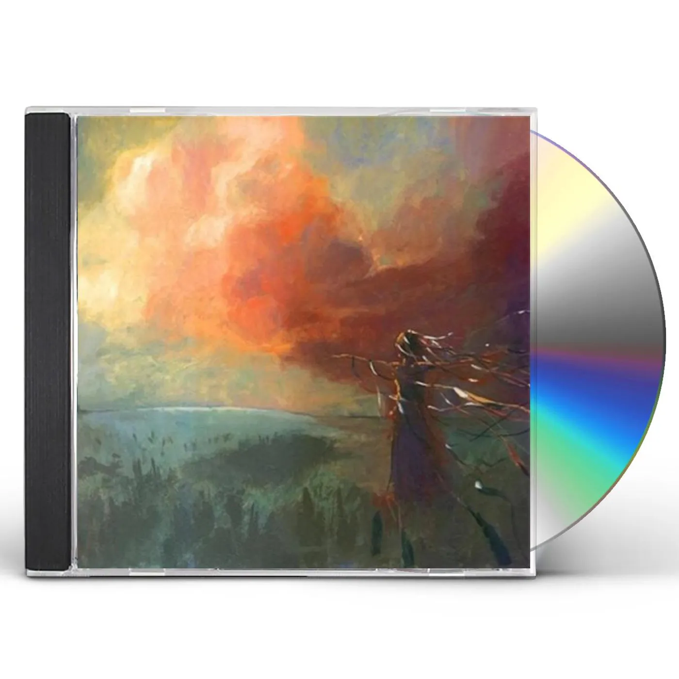 sleepmakeswaves IN TODAY ALREADY WALKS TOMORROW CD