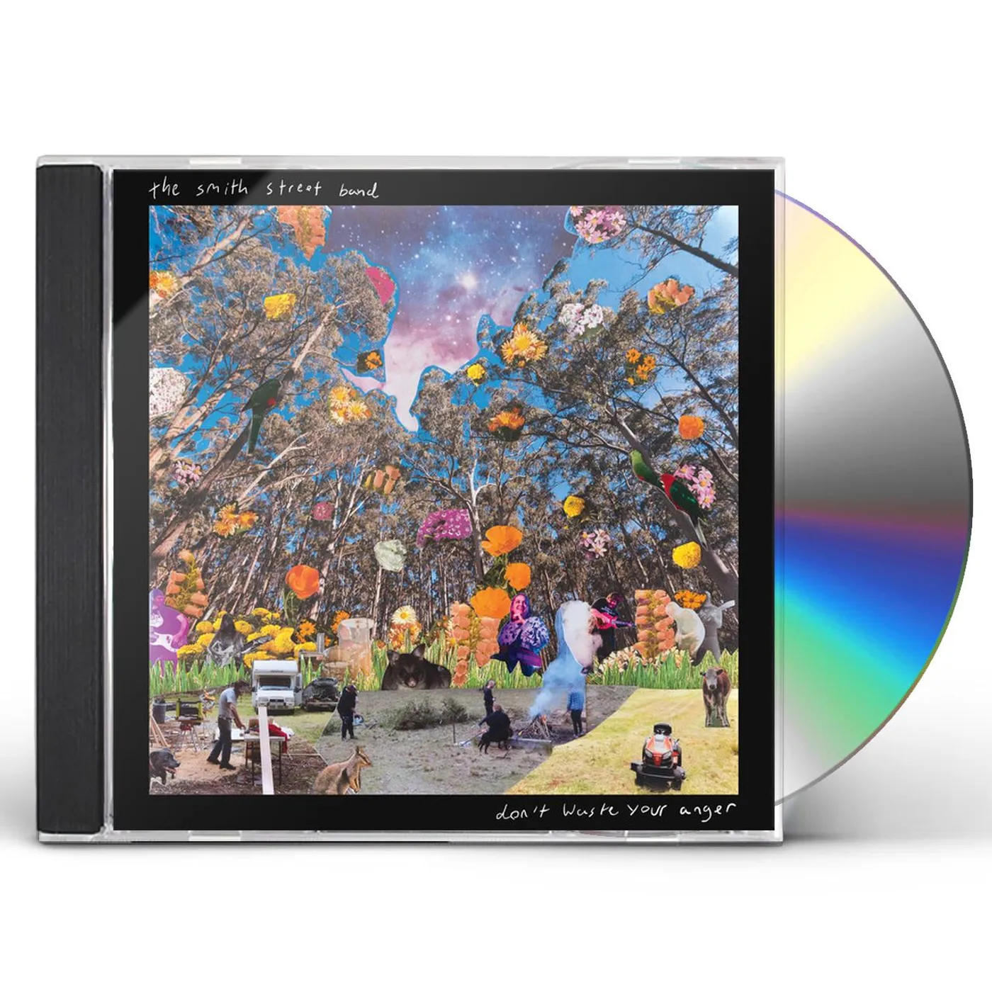 The Smith Street Band DON'T WASTE YOUR ANGER CD