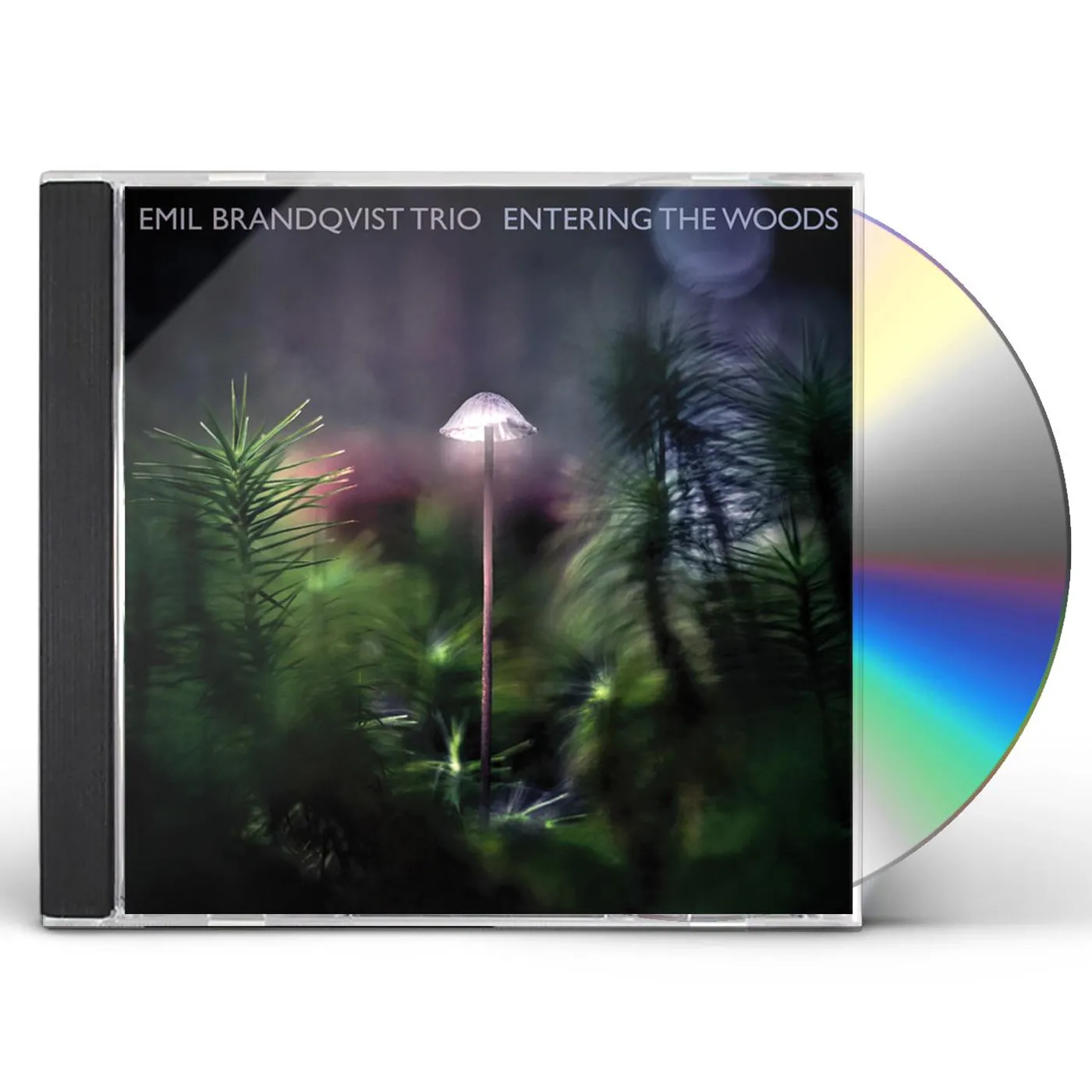 Emil Brandqvist ENTERING THE WOODS CD