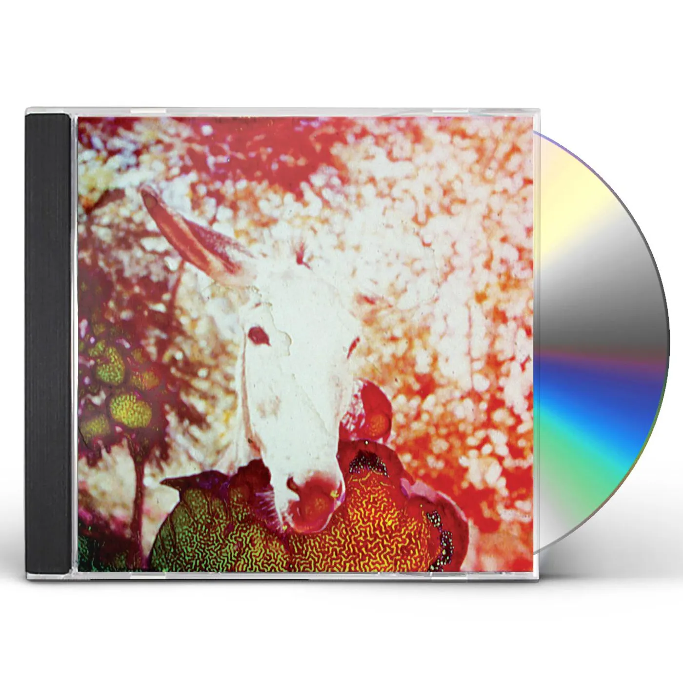 Jerusalem in My Heart IF HE DIES IF IF IF IF IF IF CD