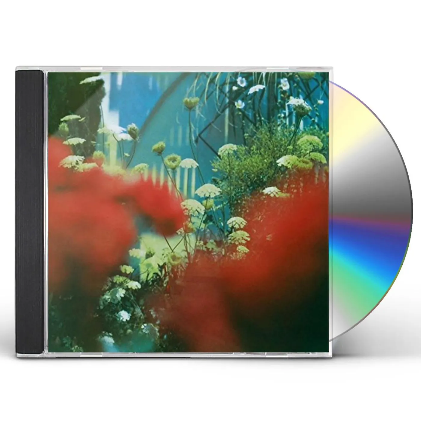 Pulled Apart By Horses HAZE CD