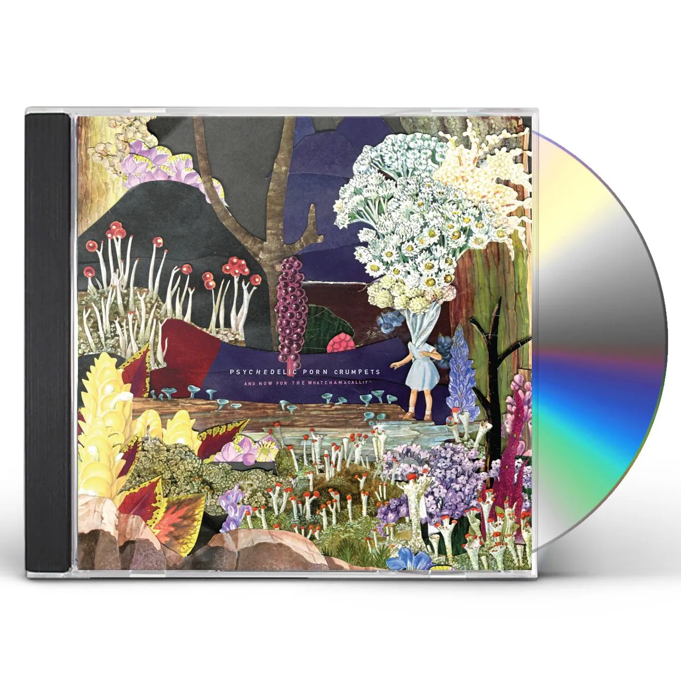Psychedelic Porn Crumpets AND NOW FOR THE WHATCHAMACALLIT CD