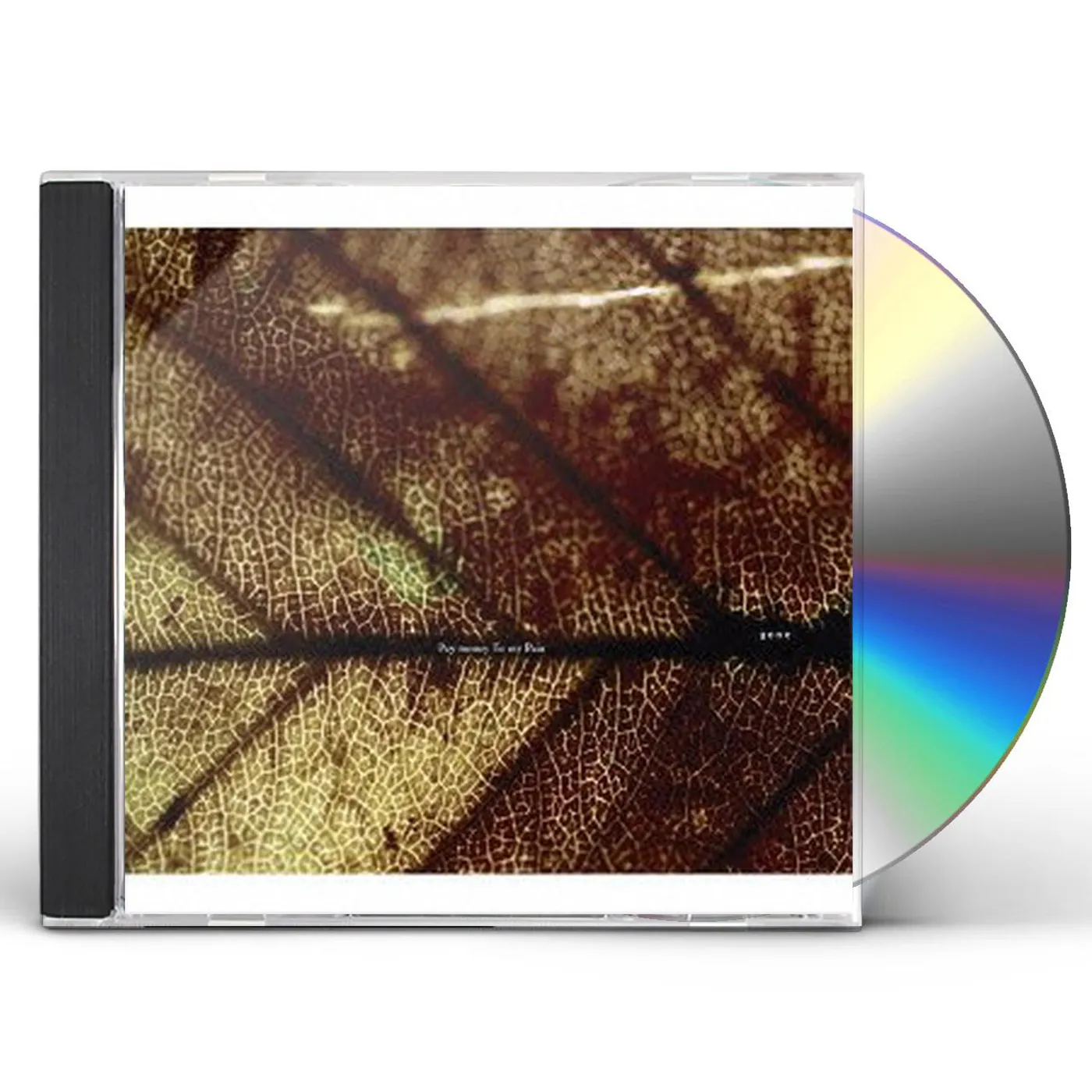 Pay money To my Pain GENE CD