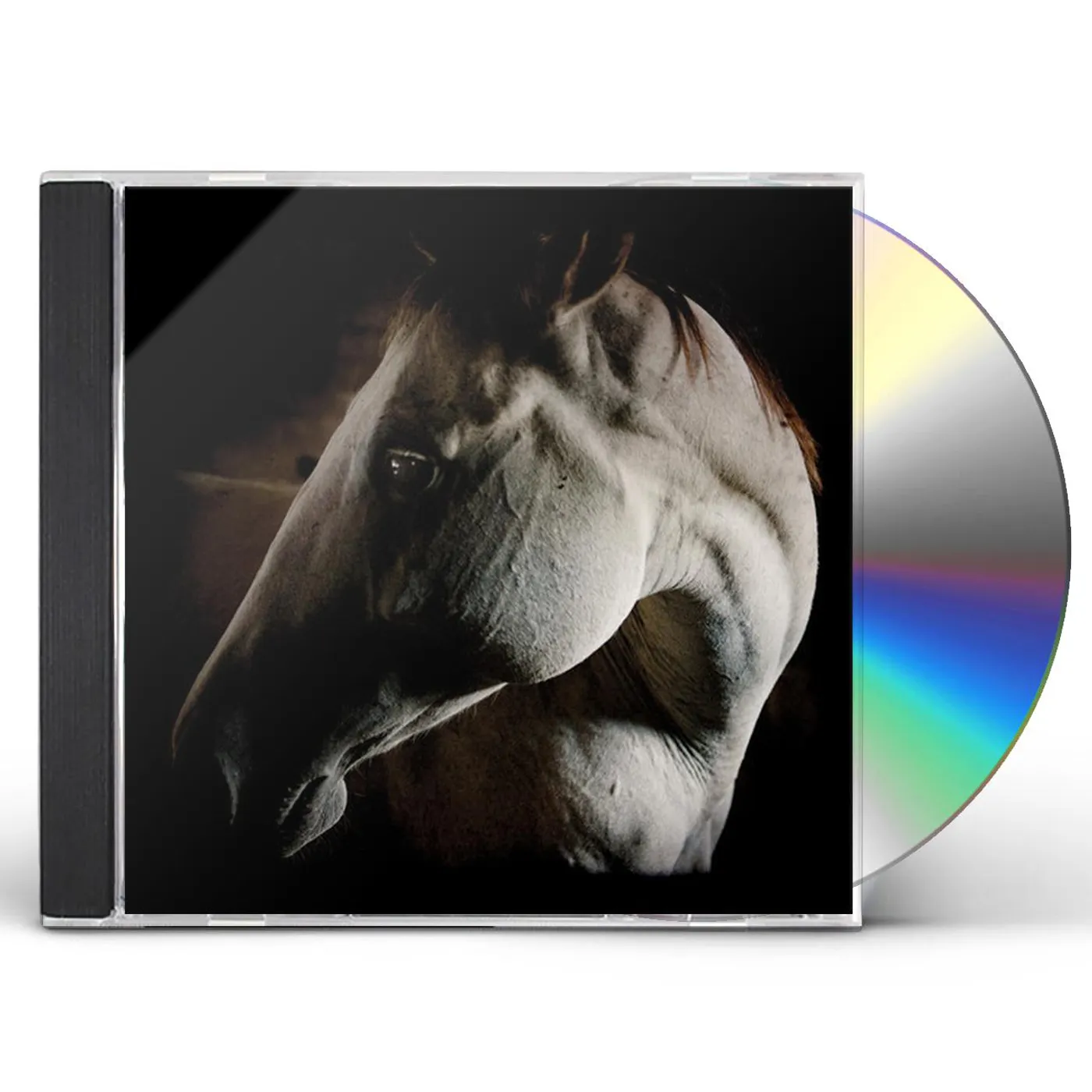 Brother Dege HOW TO KILL A HORSE CD