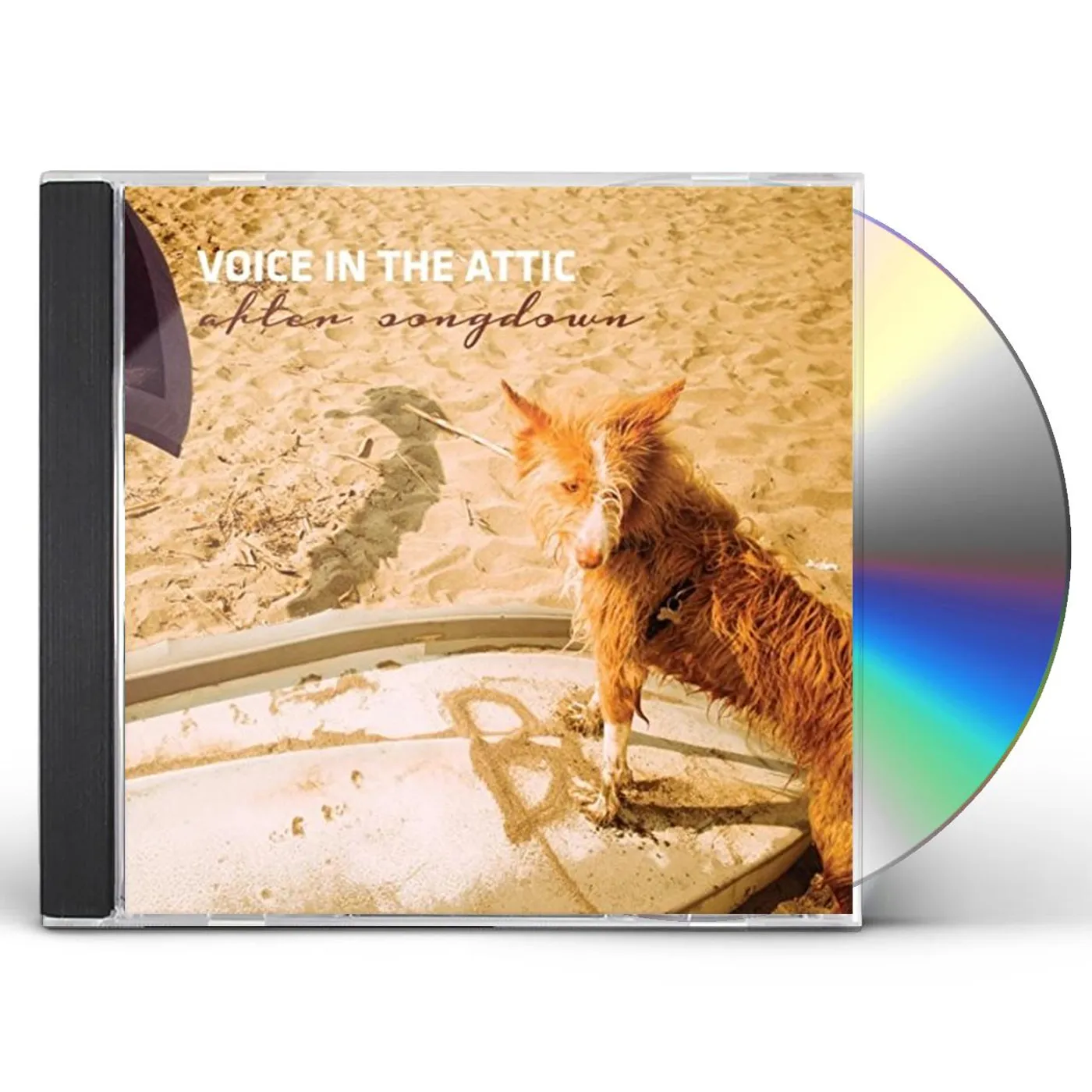 Voice In the Attic AFTER SONGDOWN CD