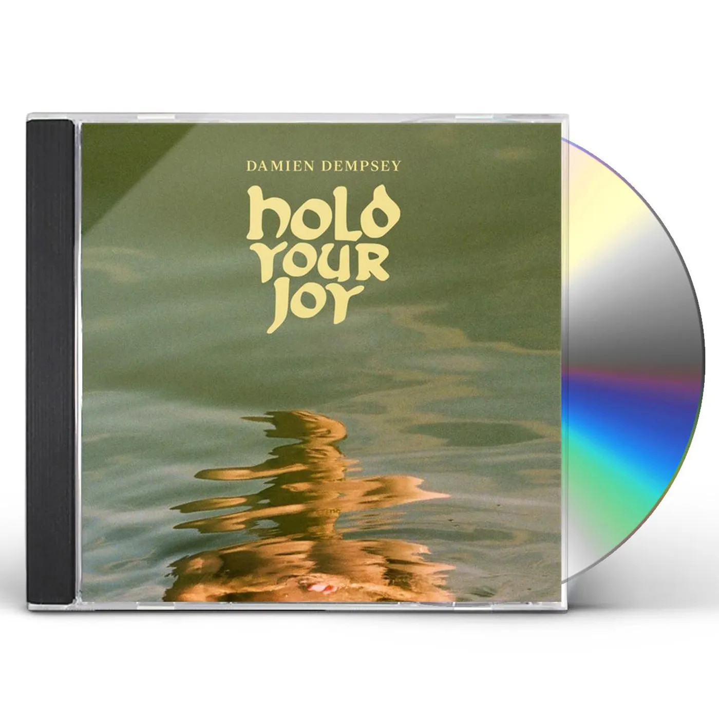 Damien Dempsey HOLD YOUR JOY CD