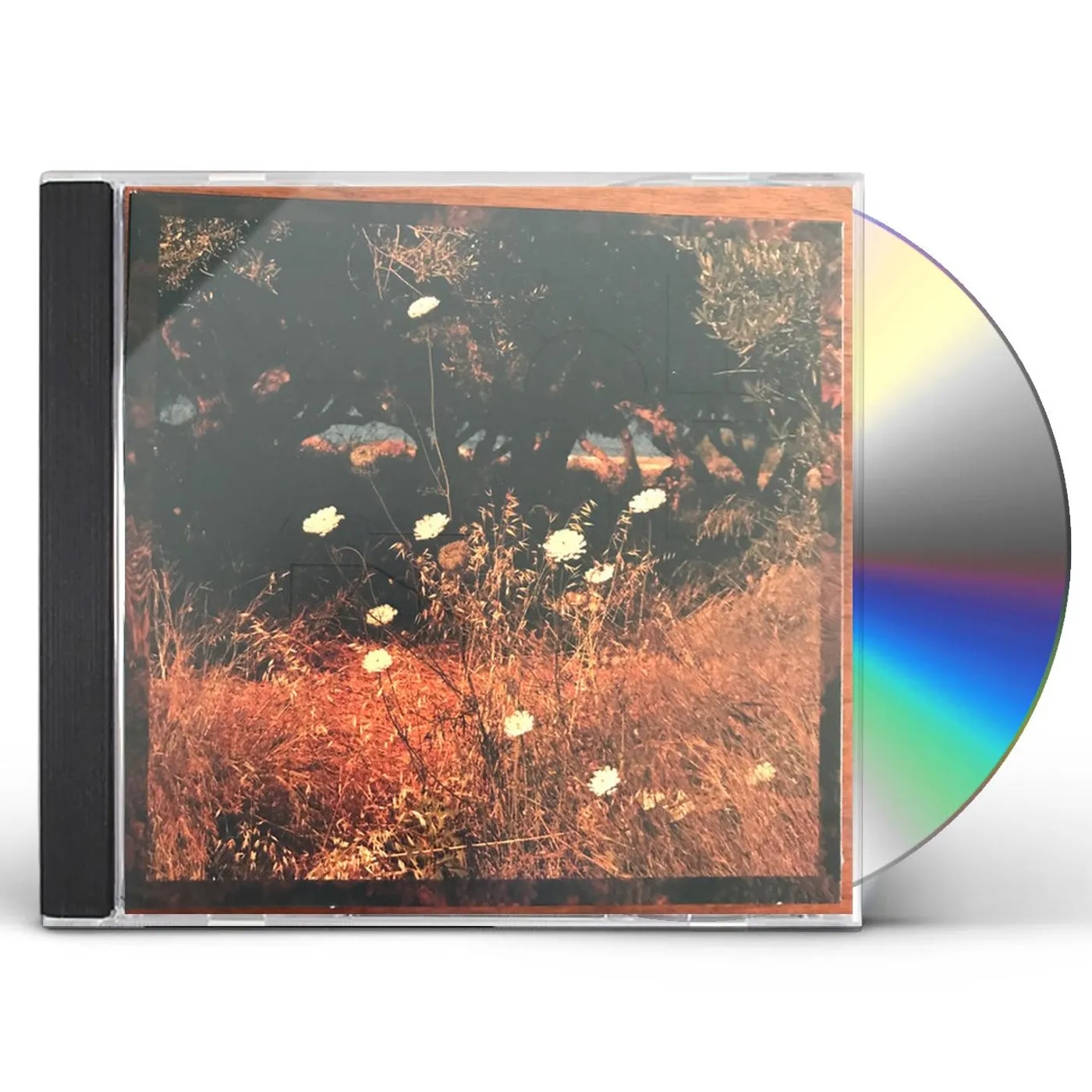 Szun Waves EARTH PATTERNS CD