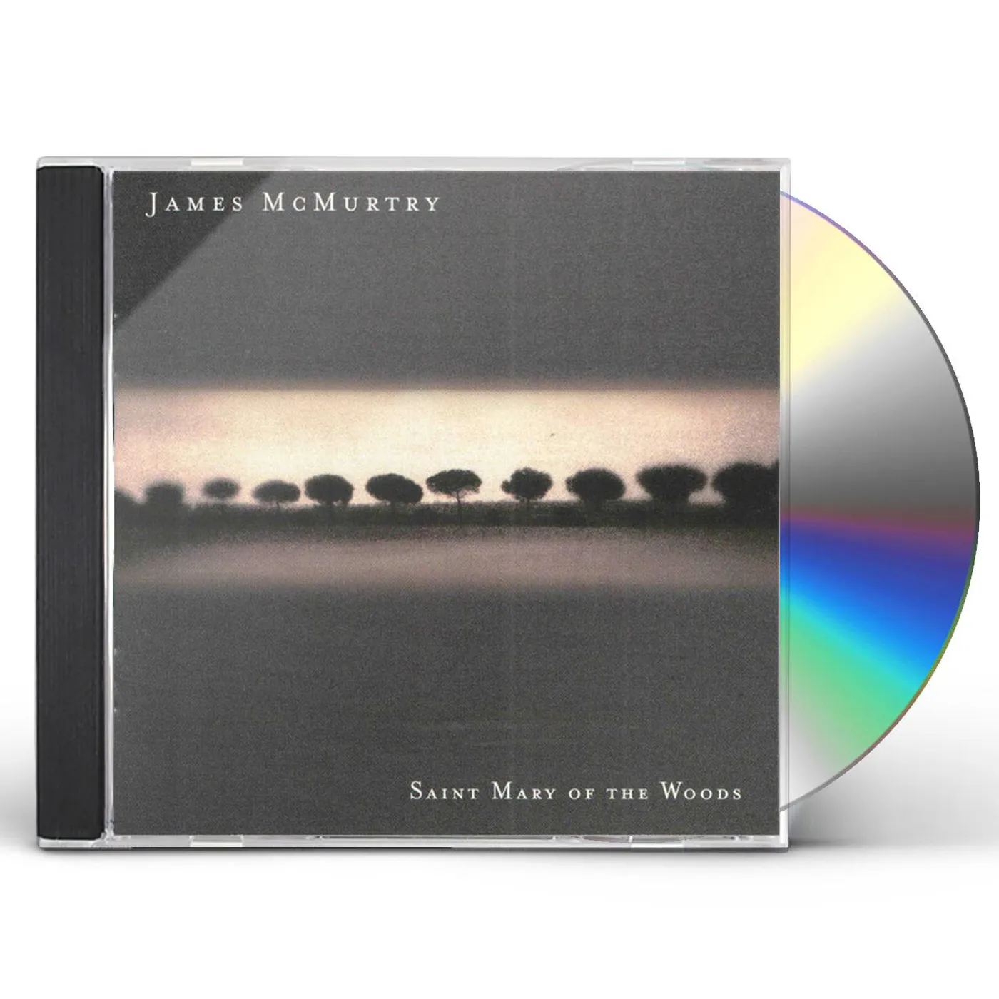James McMurtry SAINT MARY OF WOODS CD