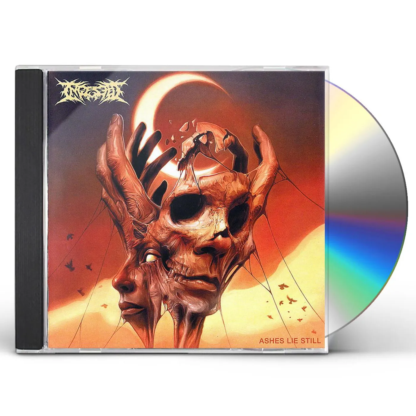 Ingested ASHES LIE STILL CD
