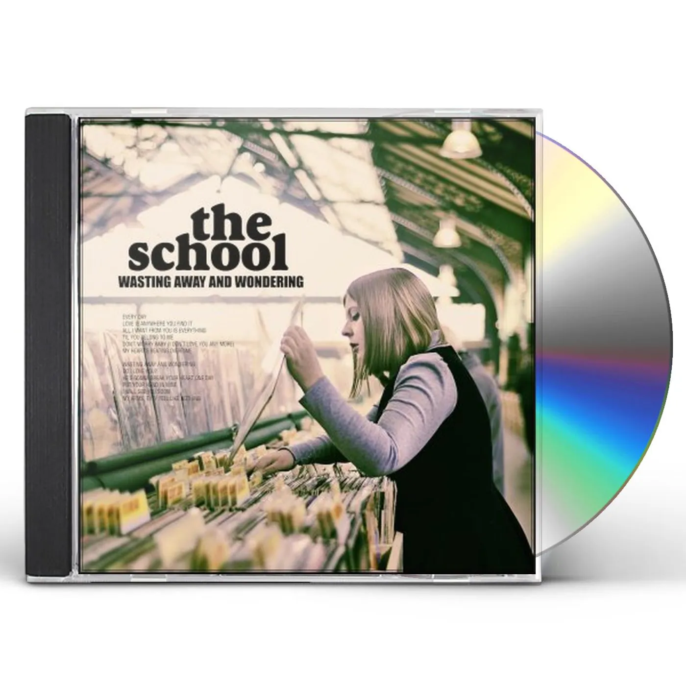 School WASTING AWAY & WONDERING CD