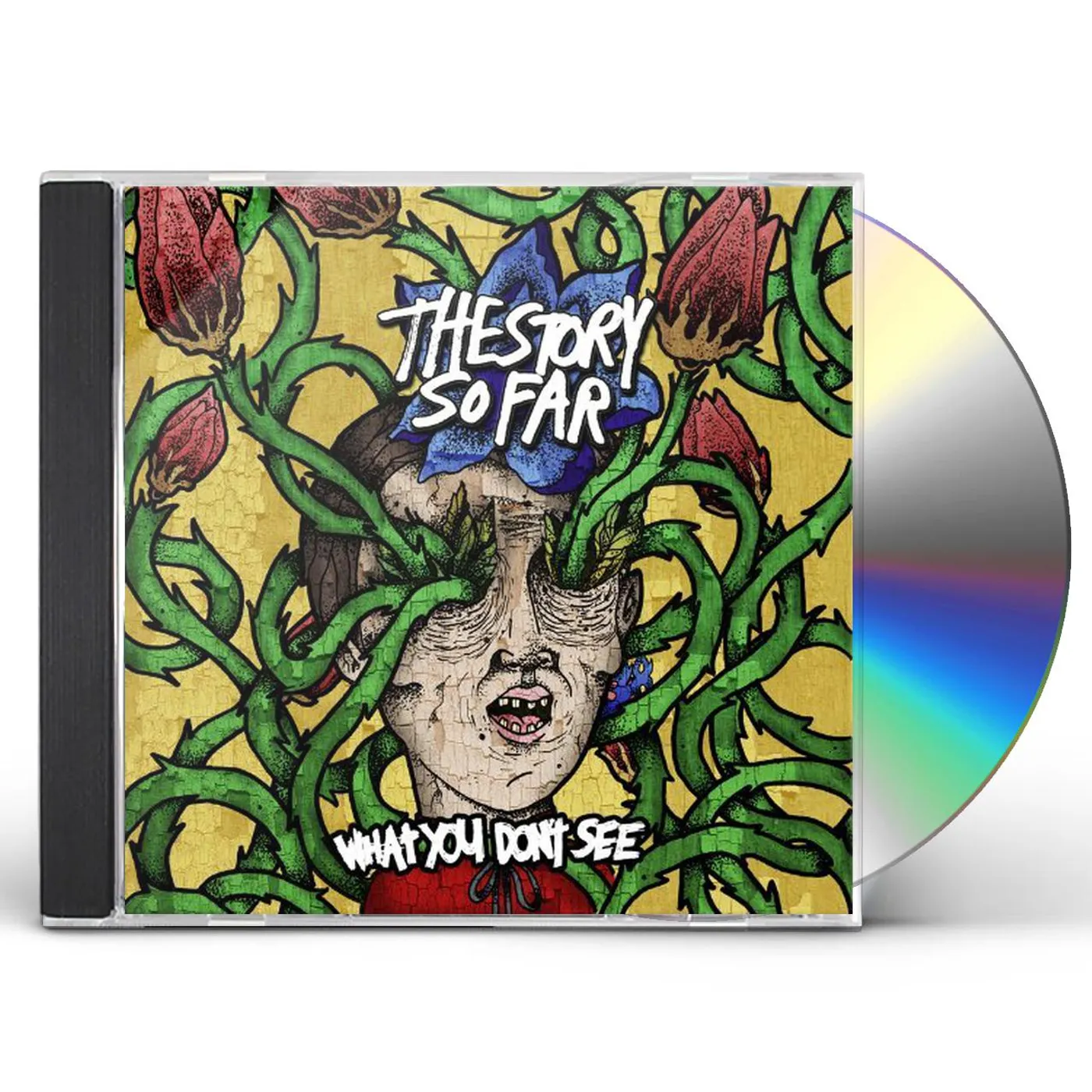 The Story So Far WHAT YOU DON'T SEE CD