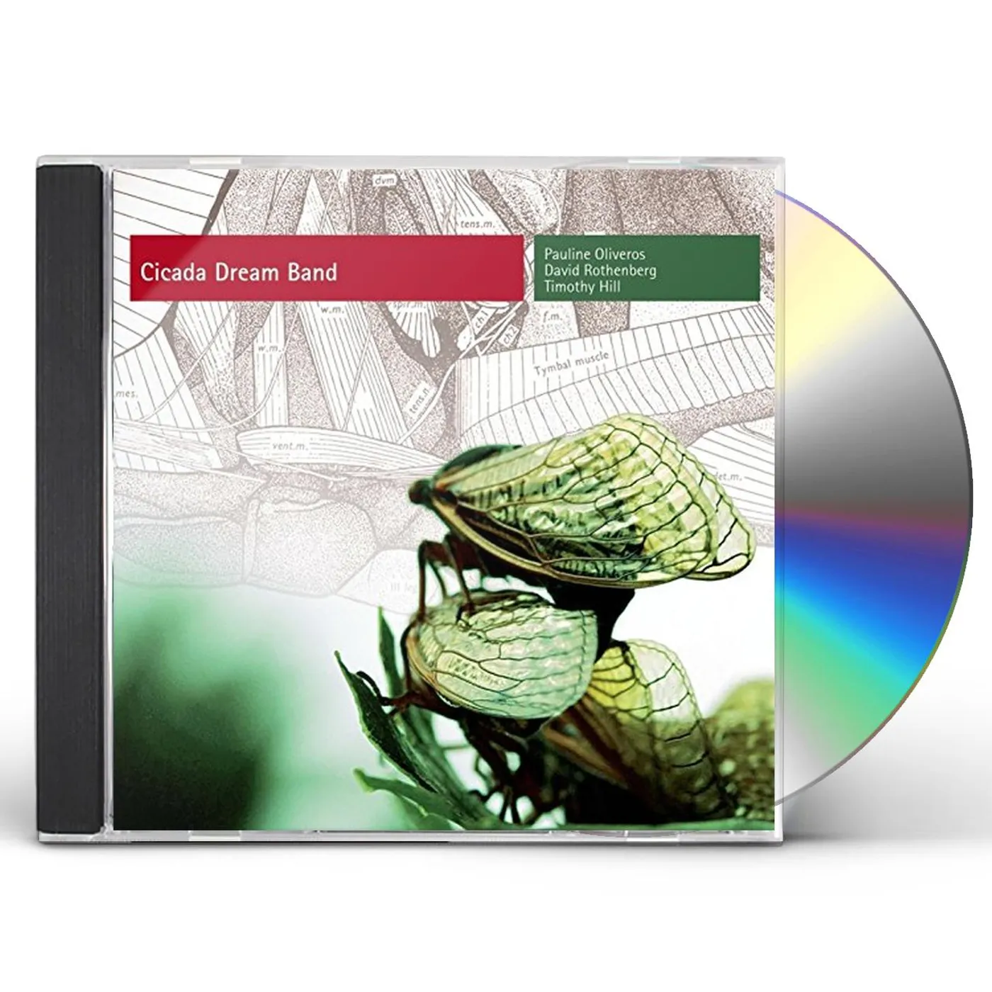 Pauline Oliveros CICADA DREAM BAND CD