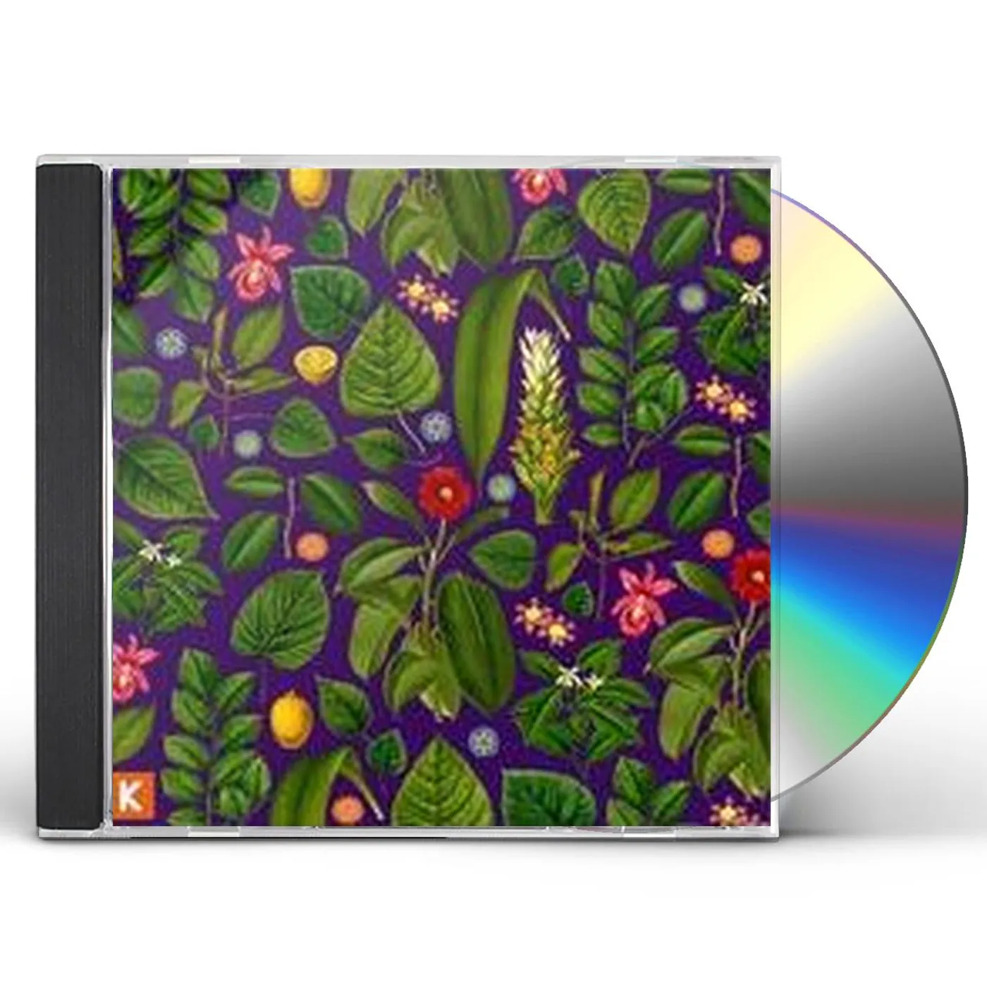 Kings Kaleidoscope BECOMING WHO WE ARE CD